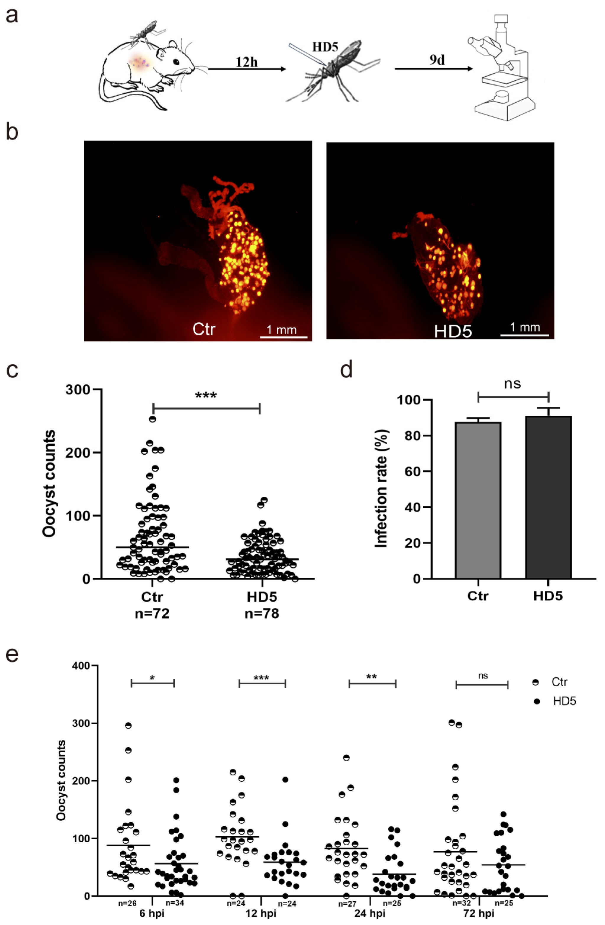 Tropicalmed 09 00169 g002