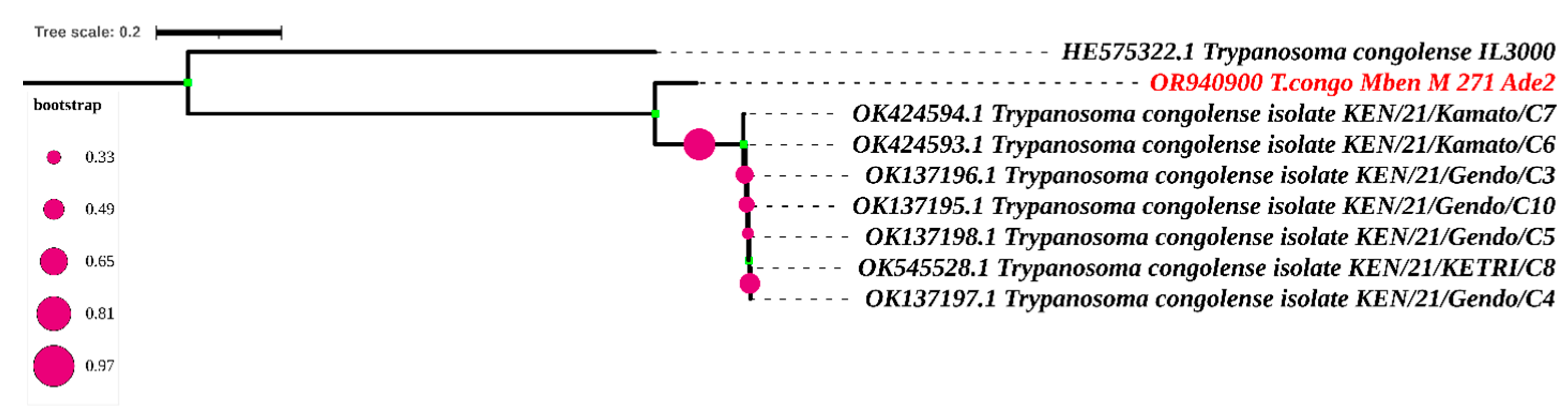 Tropicalmed 09 00192 g006 Tropicalmed 09 00192 g006