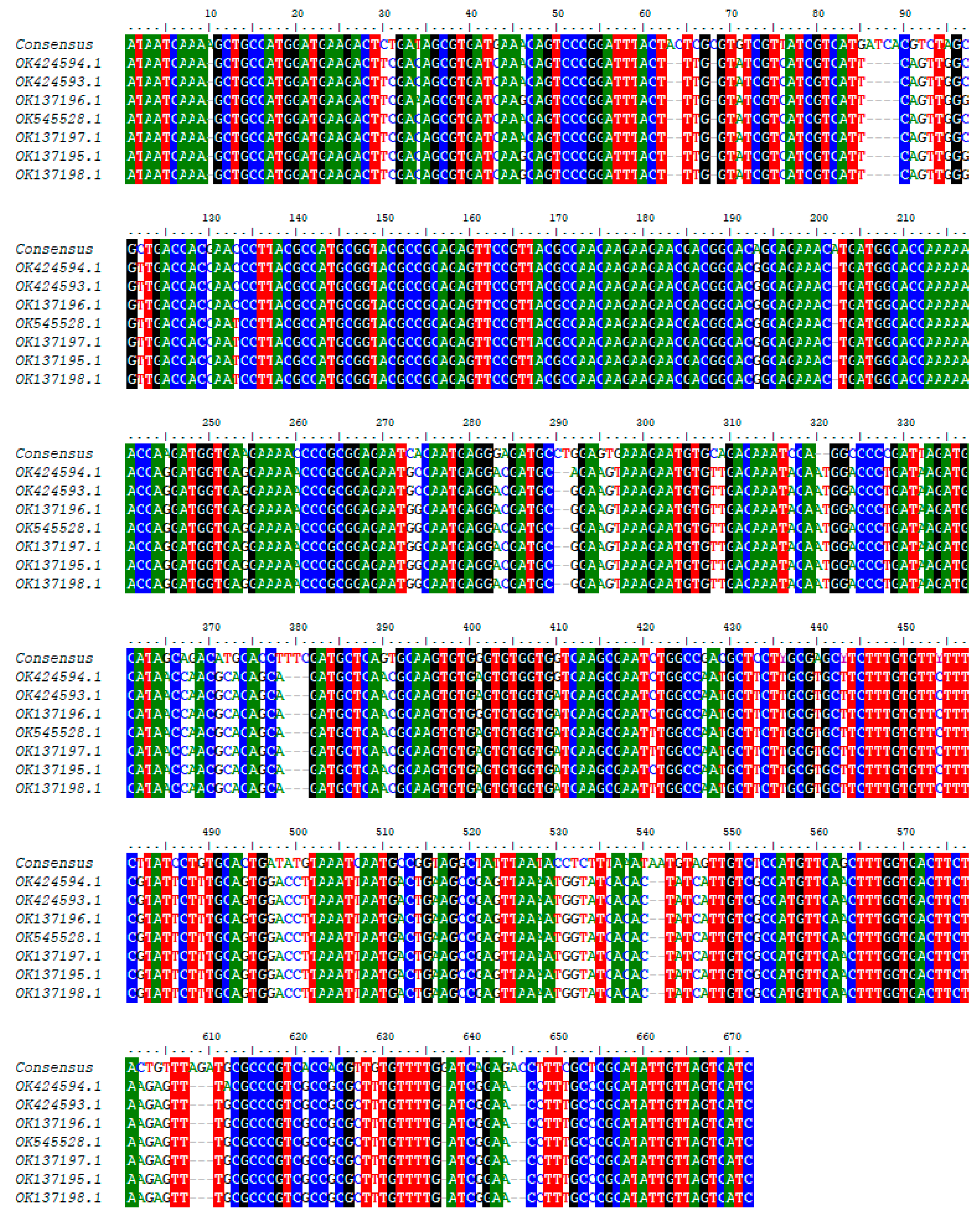 Tropicalmed 09 00192 g007 Tropicalmed 09 00192 g007