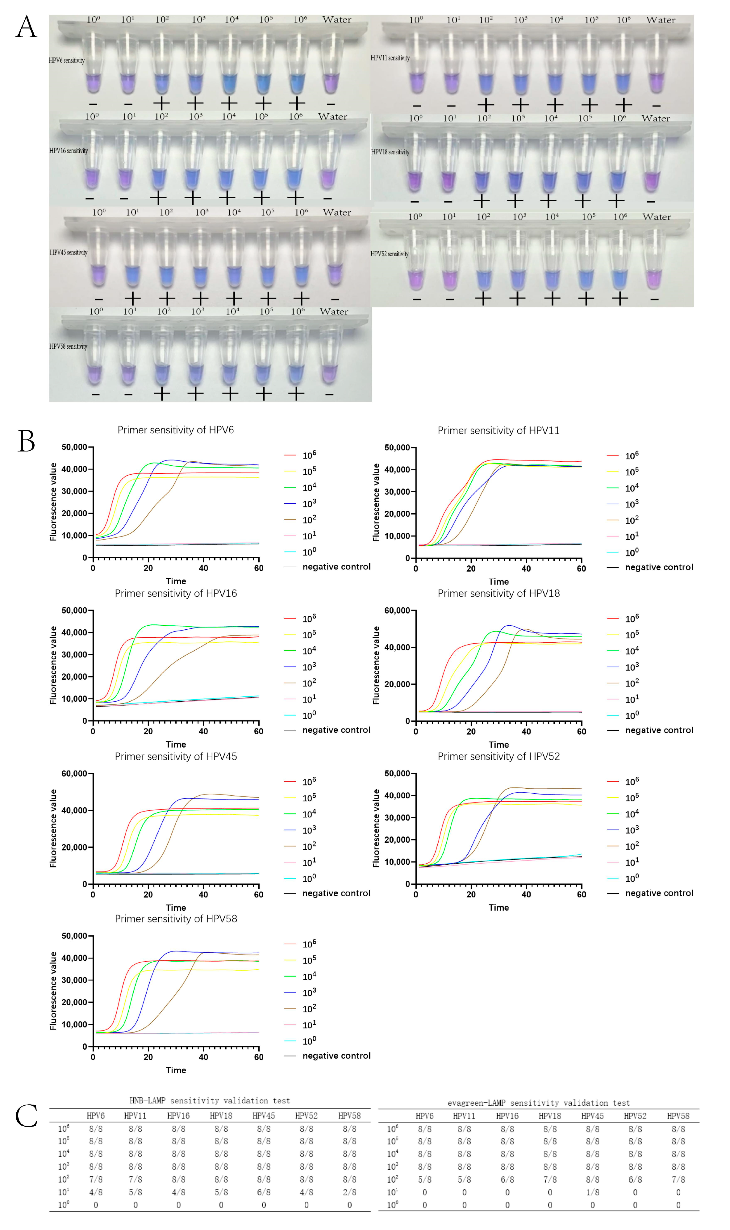 Tropicalmed 09 00240 g003