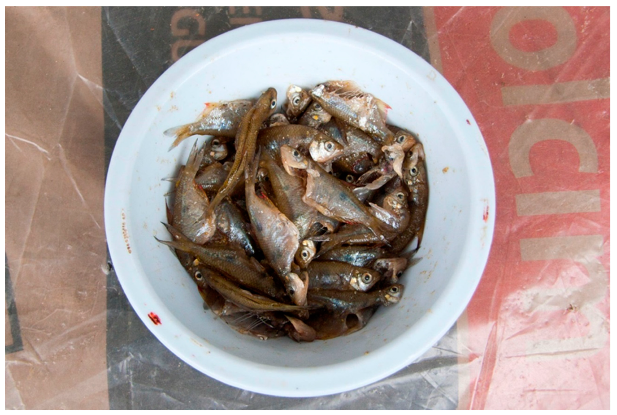 Tropicalmed 09 00248 g003 Tropicalmed 09 00248 g003