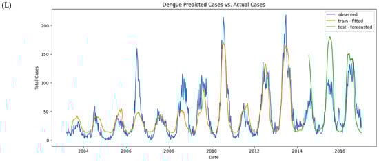 Tropicalmed 09 00250 g012e