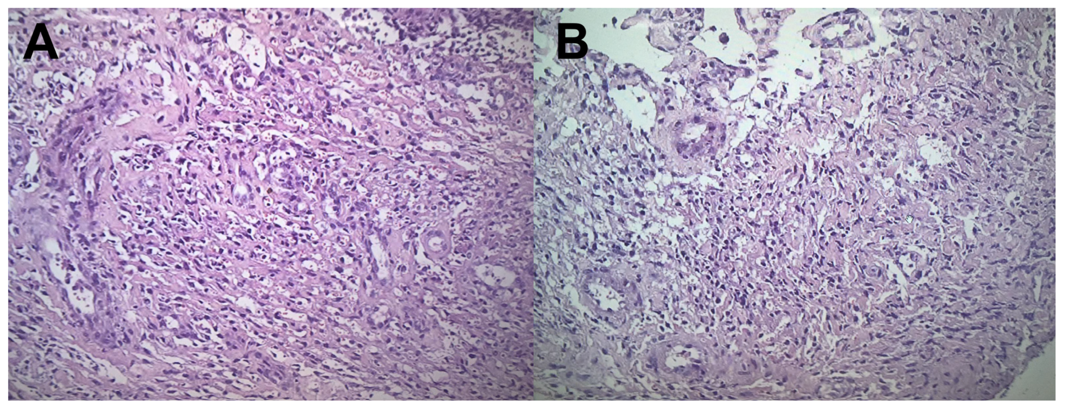 Tropicalmed 09 00307 g005