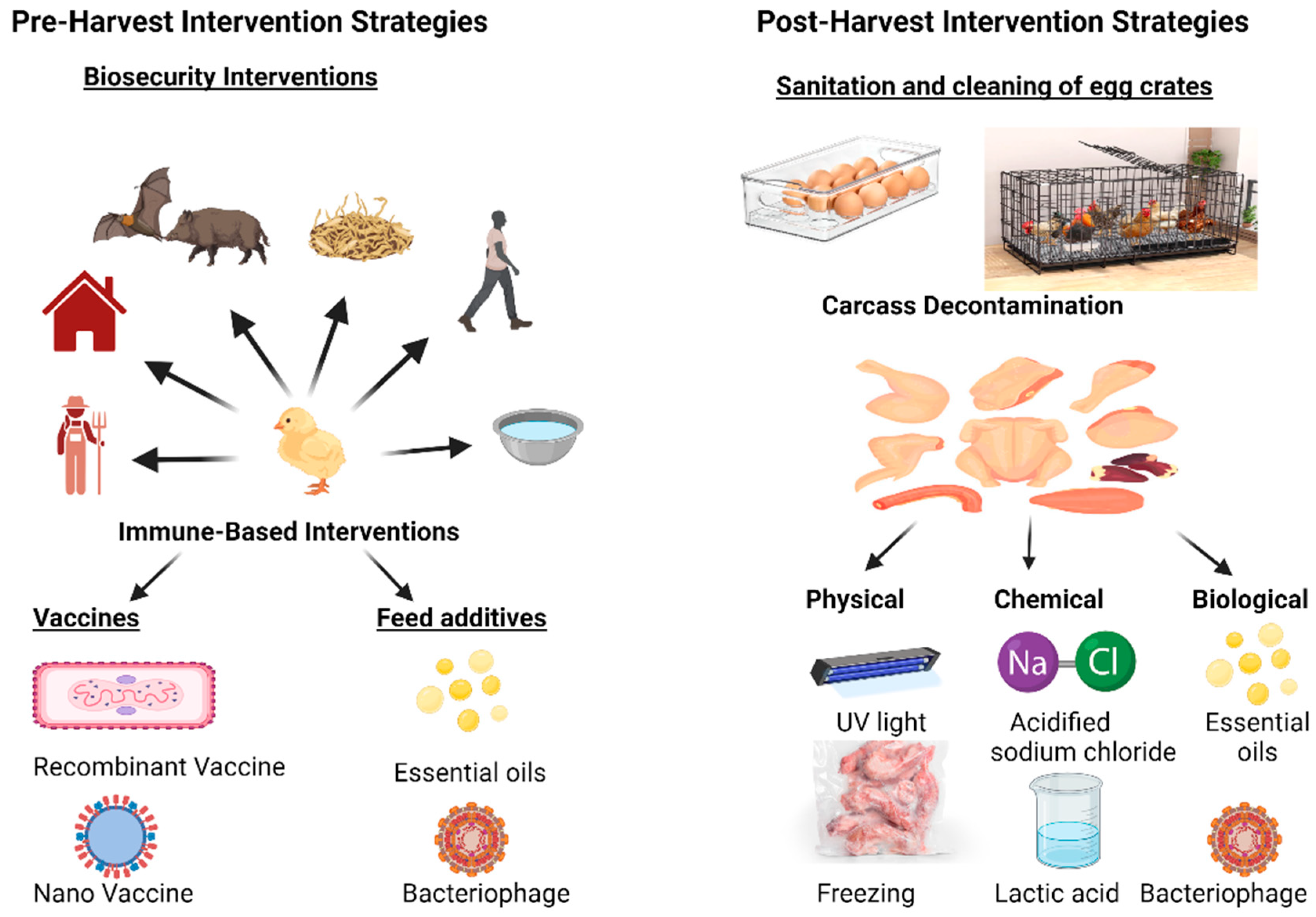 Tropicalmed 10 00025 g002