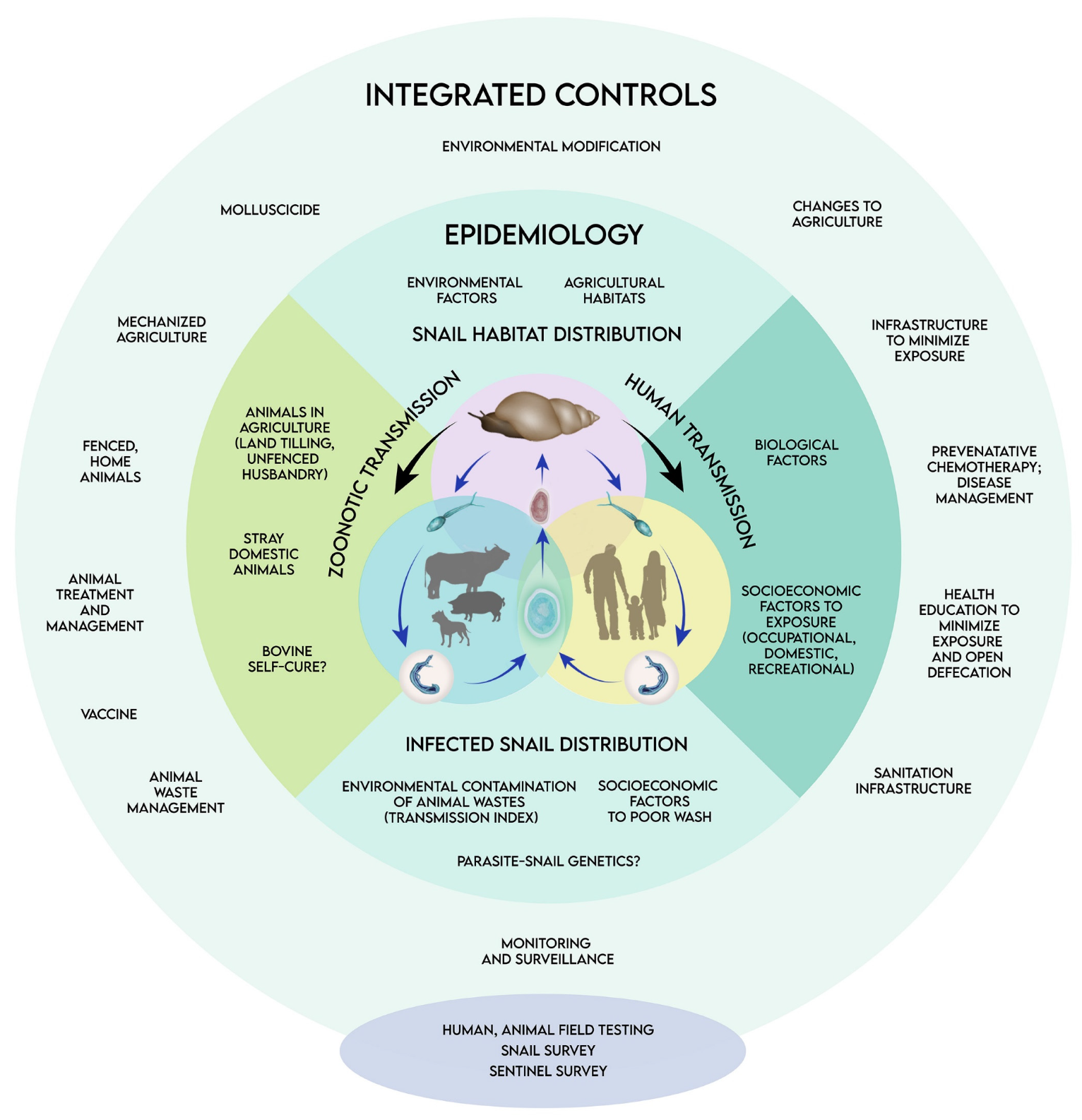 Tropicalmed 10 00029 g001