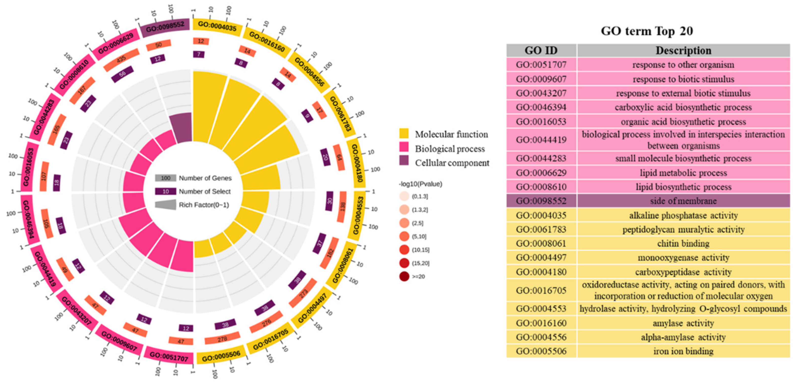Tropicalmed 10 00031 g003
