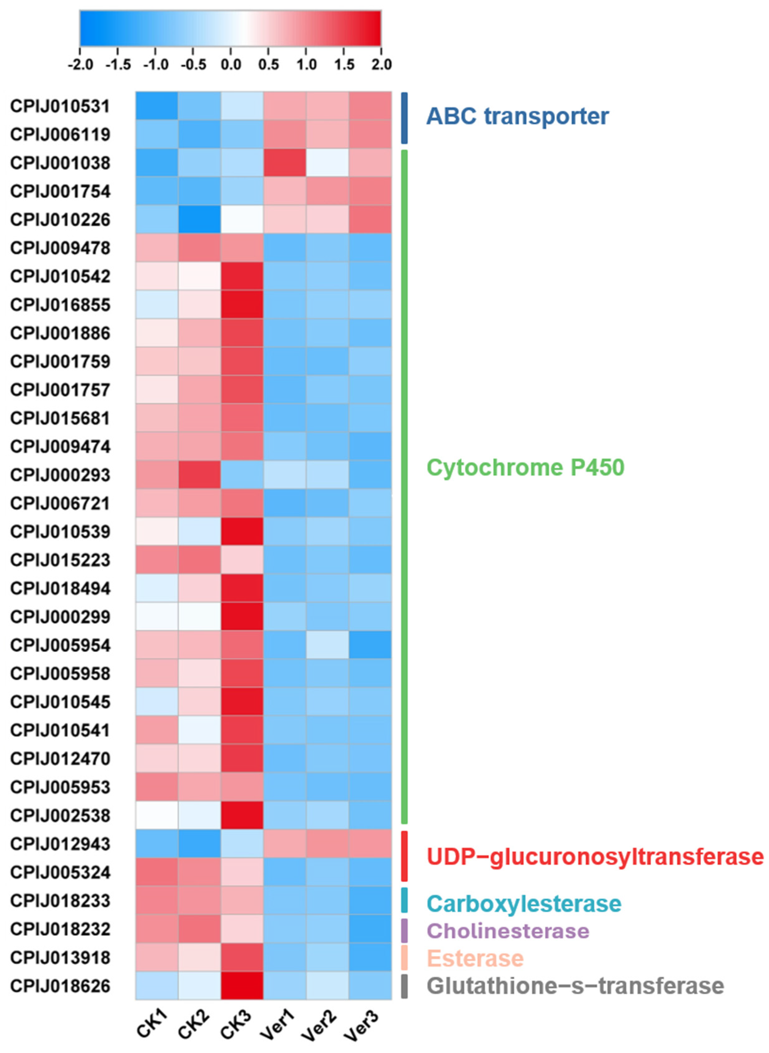 Tropicalmed 10 00031 g007