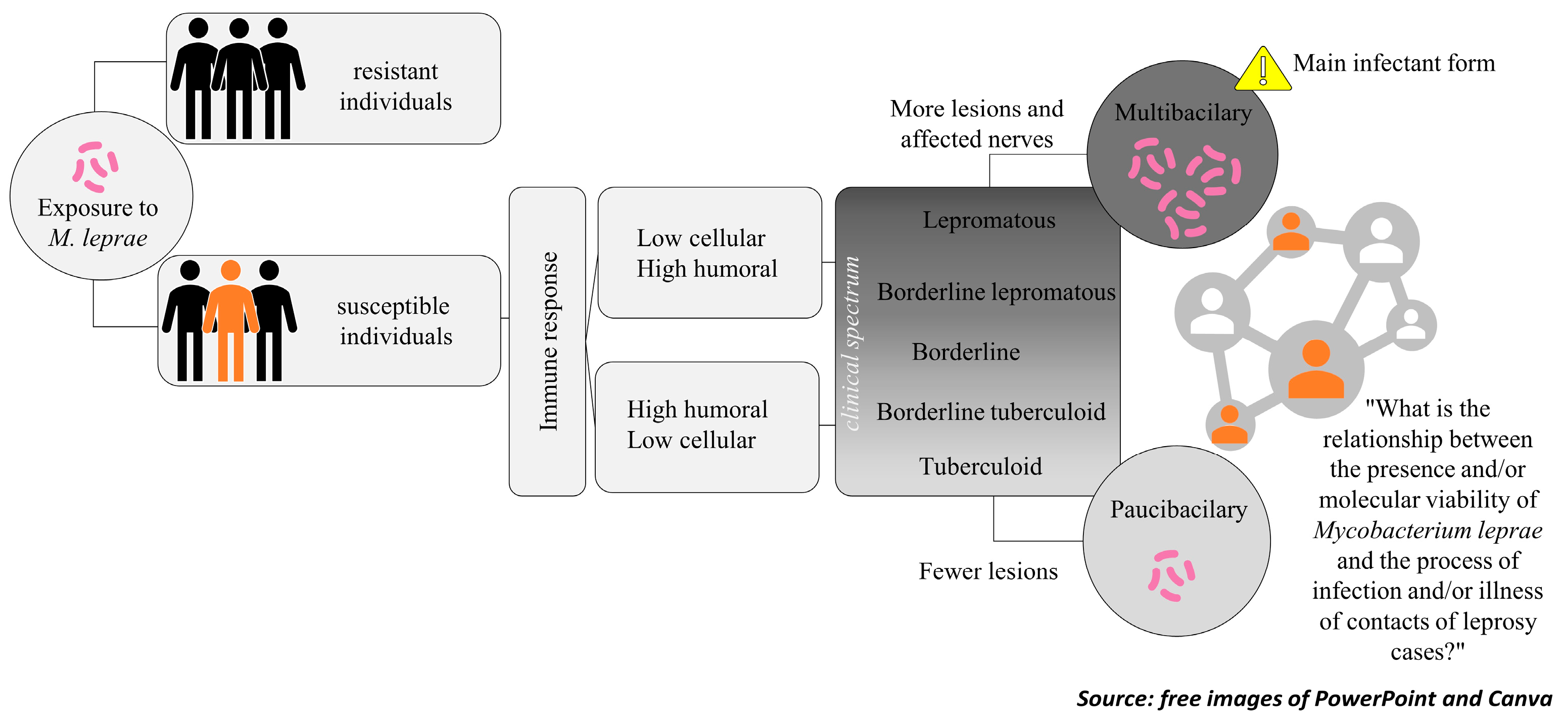 Tropicalmed 10 00032 g001