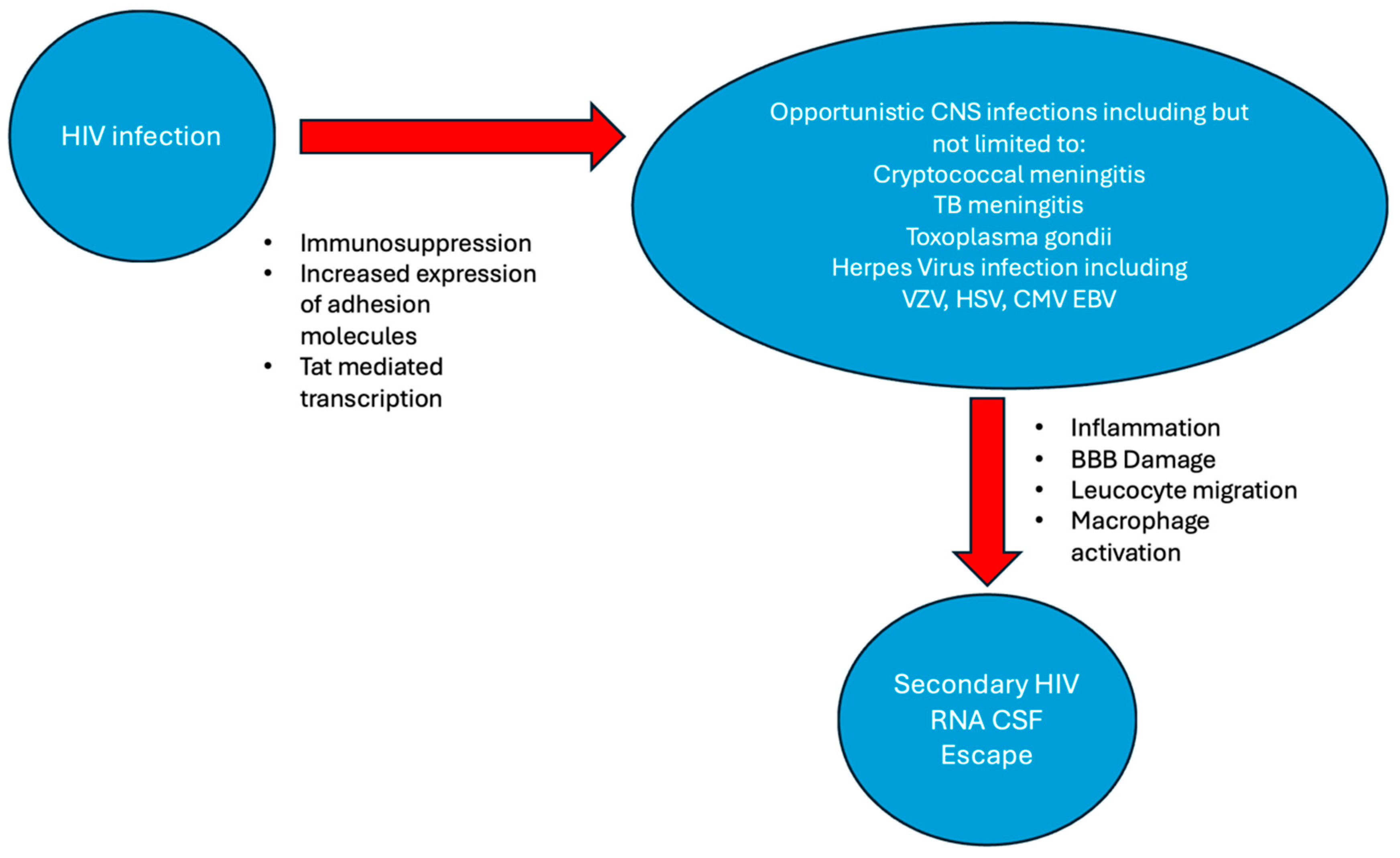 Tropicalmed 10 00045 g001