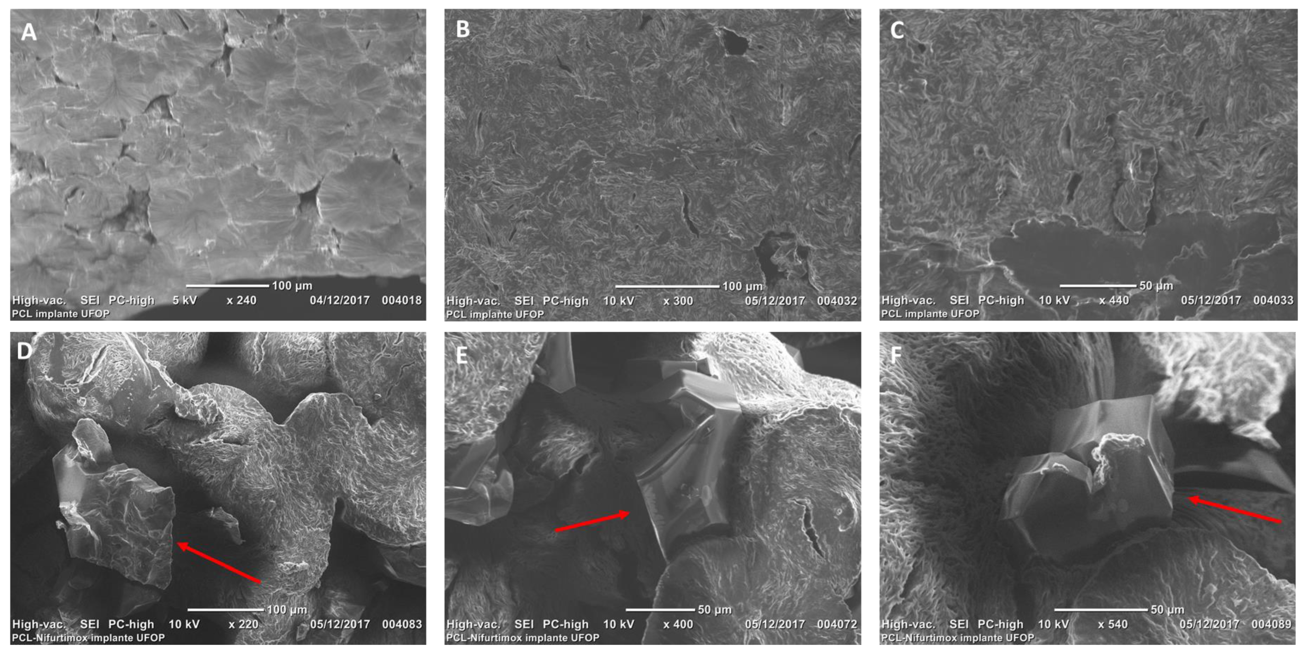 Tropicalmed 10 00050 g008