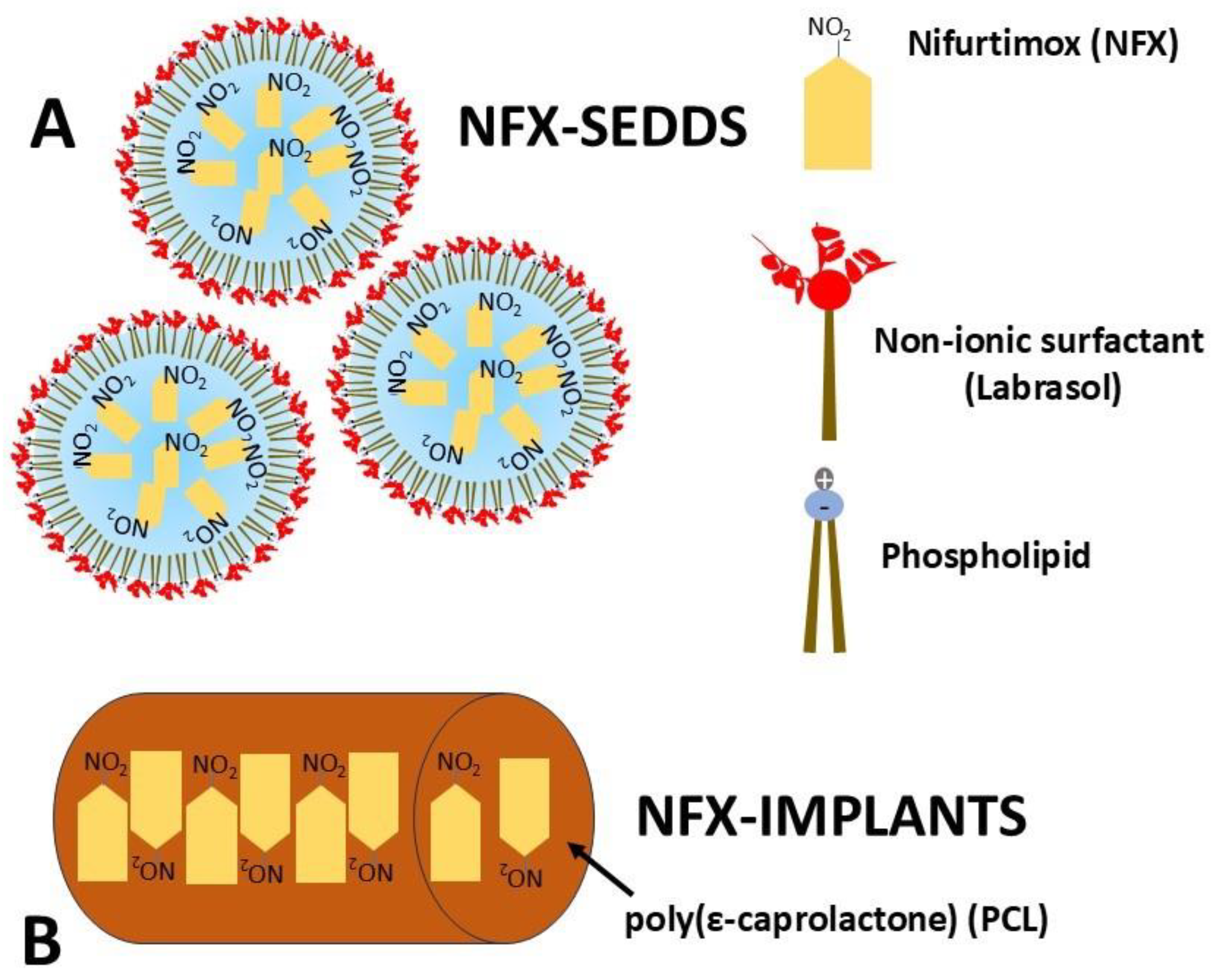 Tropicalmed 10 00050 g011