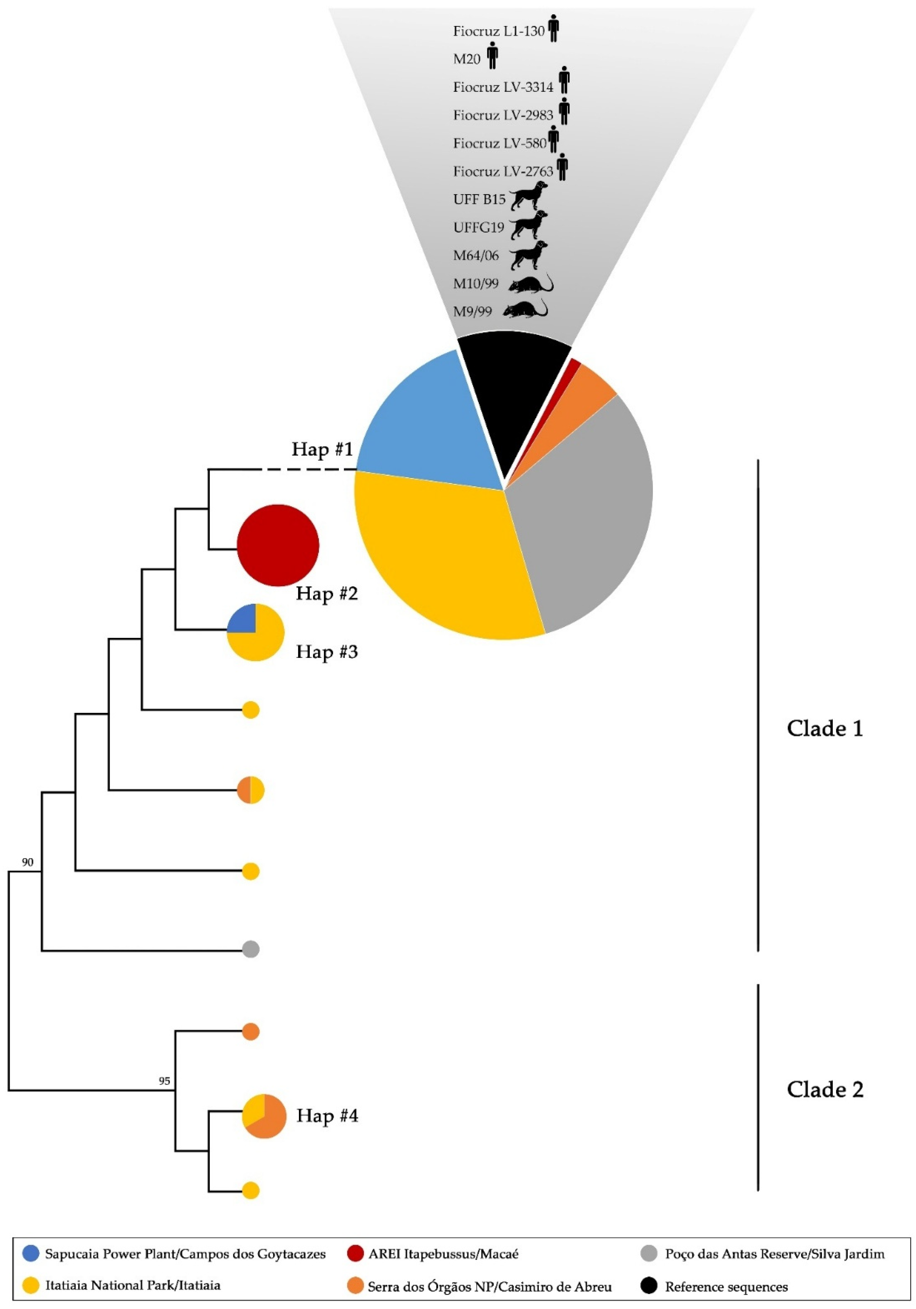 Tropicalmed 10 00062 g002