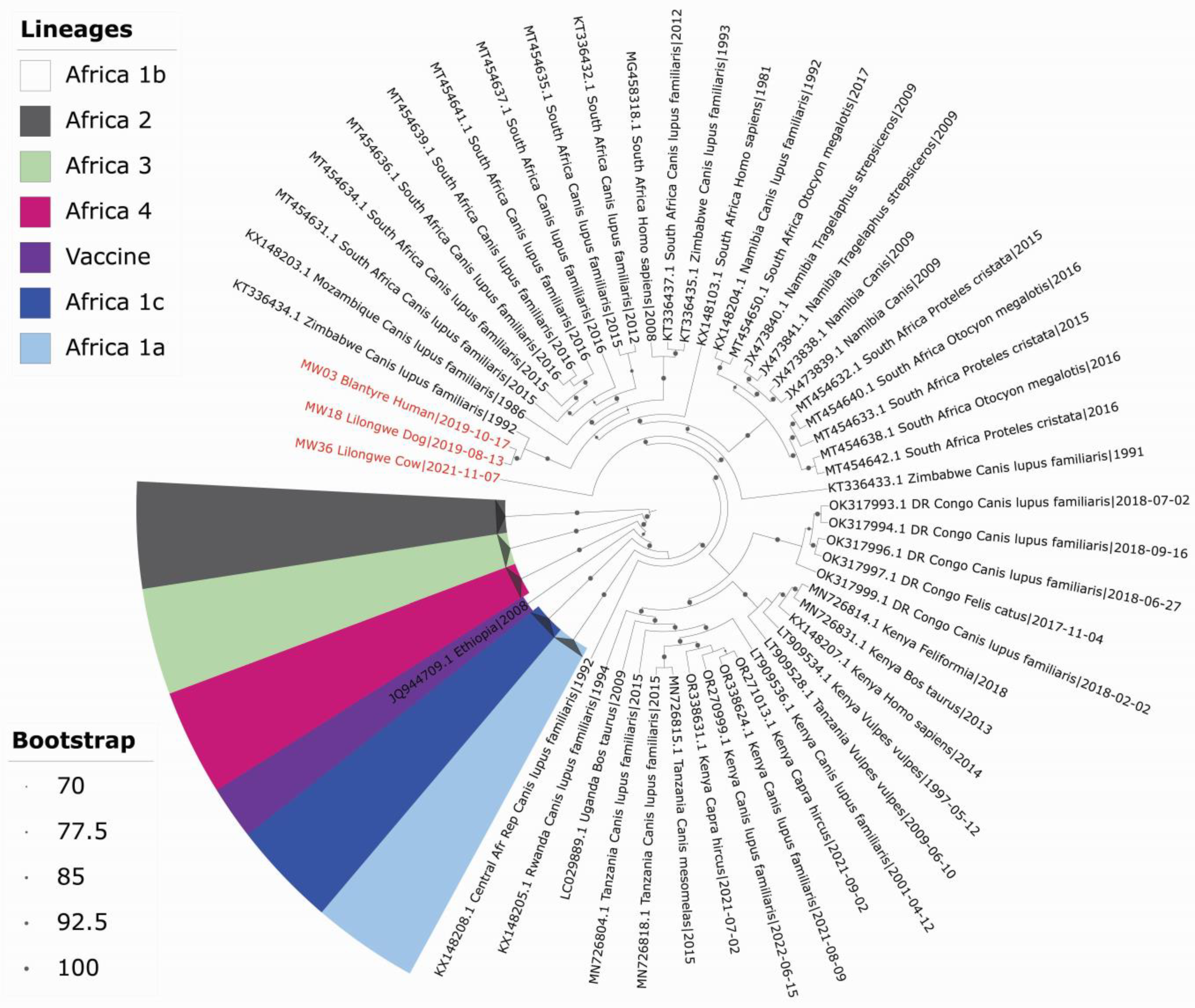 Tropicalmed 10 00095 g002