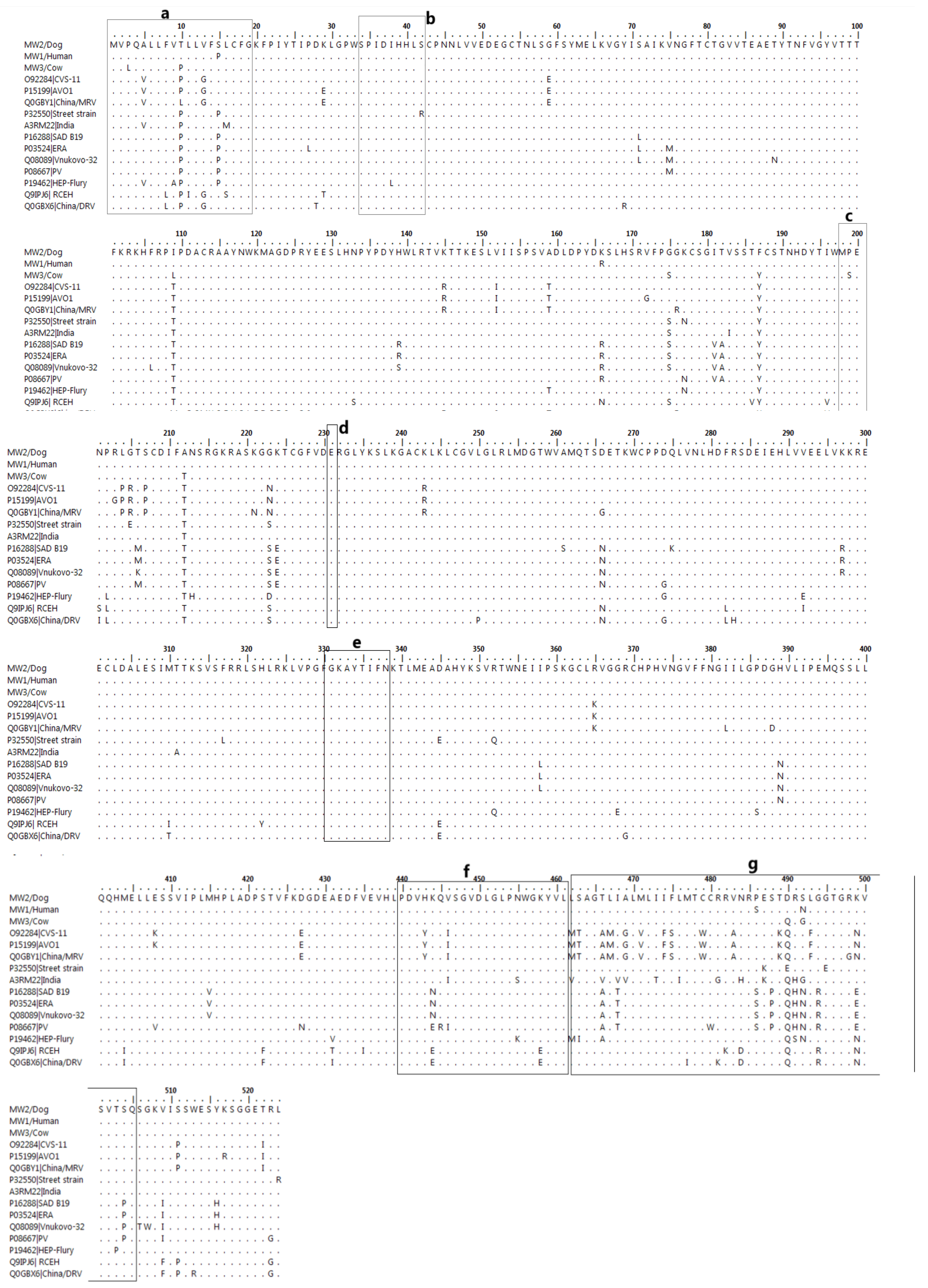 Tropicalmed 10 00095 g003