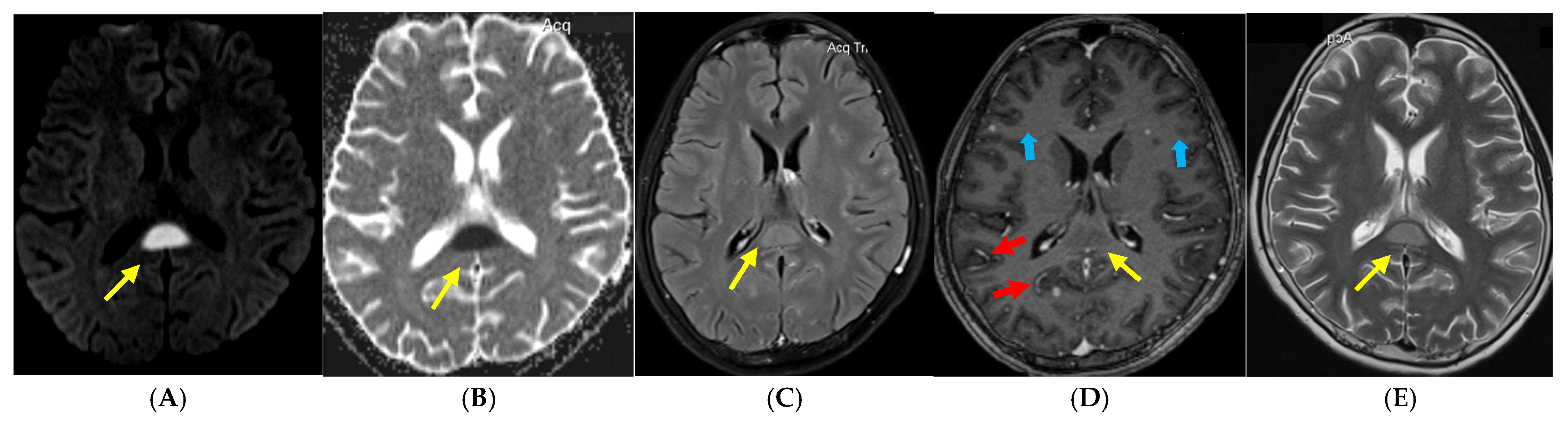 Tropicalmed 10 00096 g001