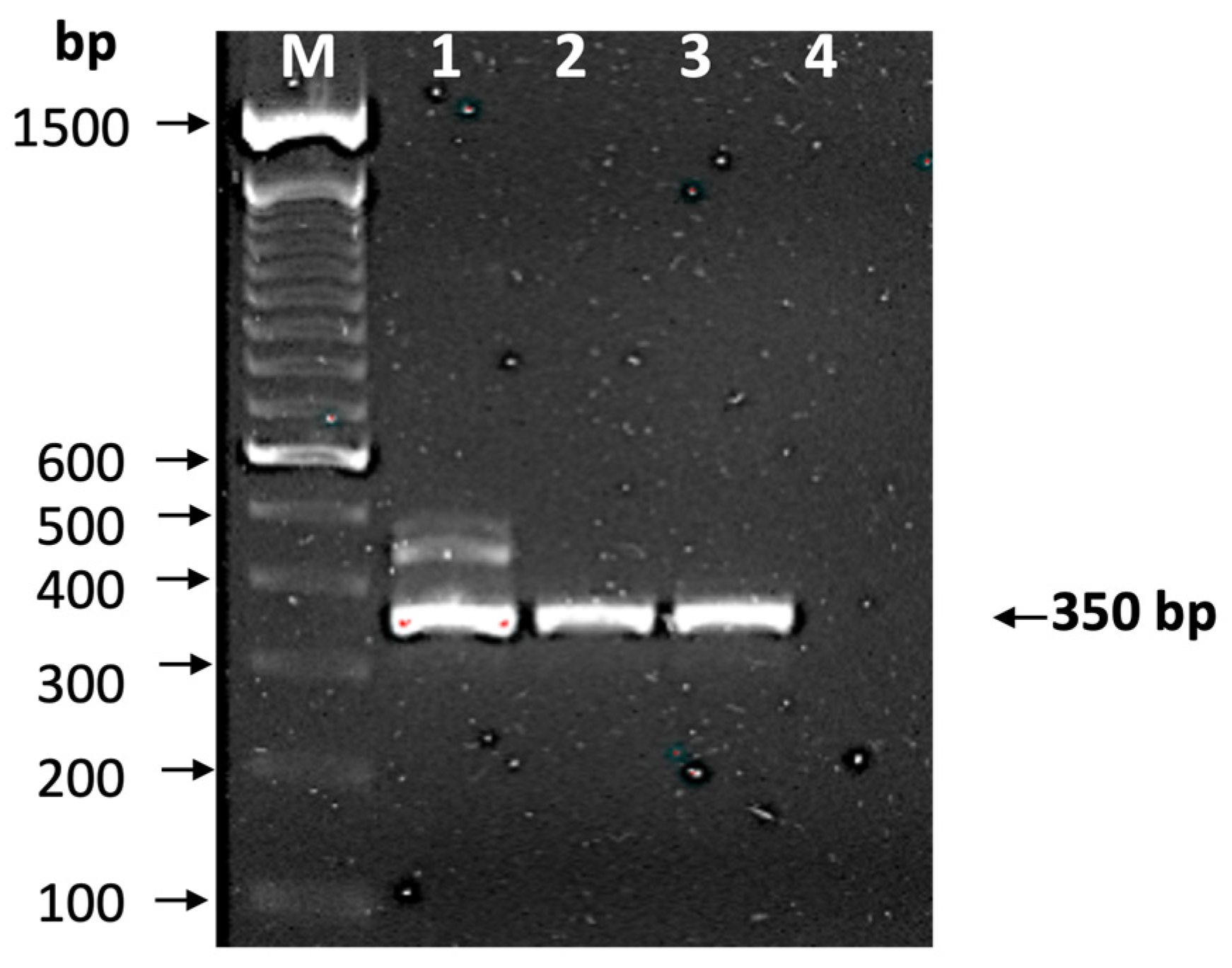 Tropicalmed 10 00104 g002