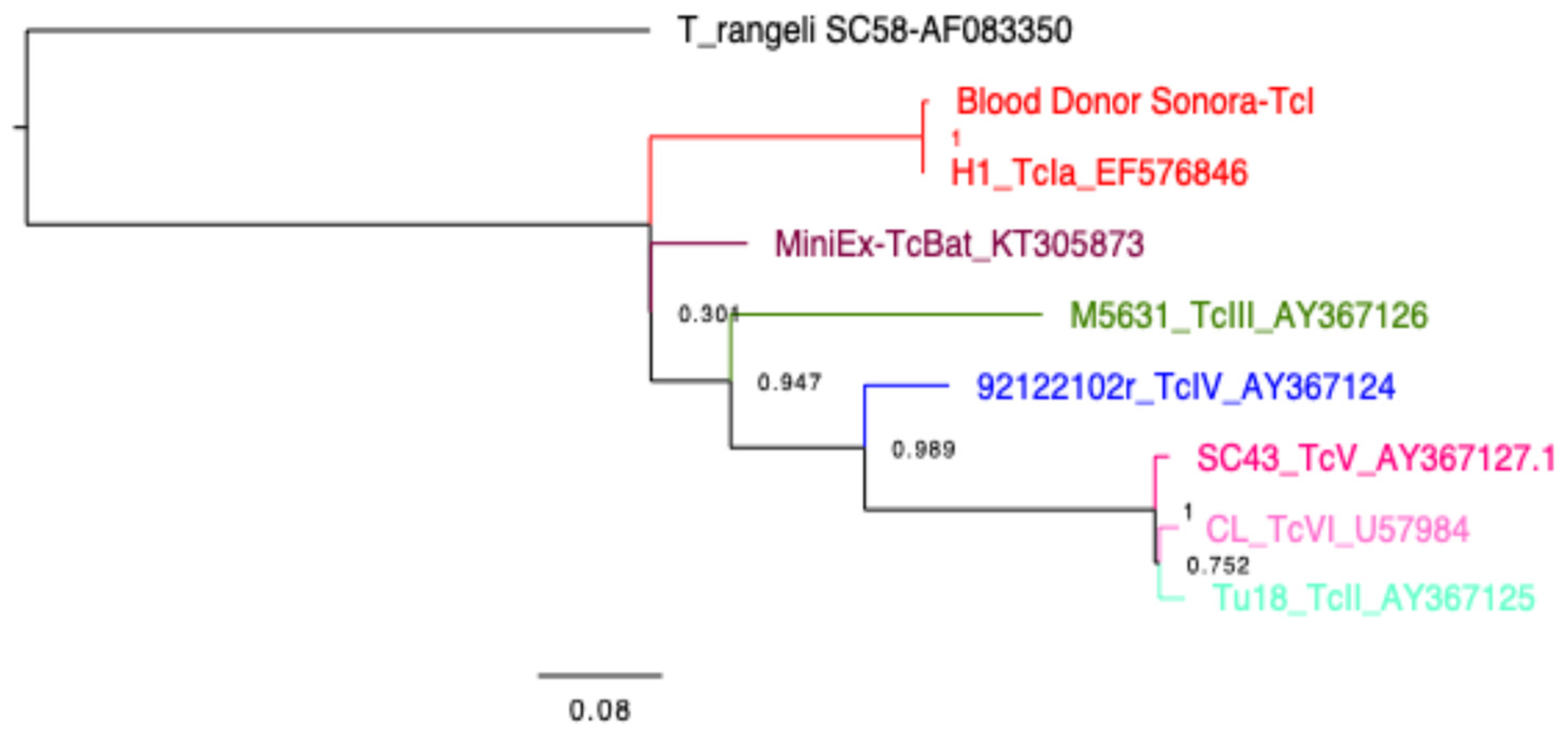 Tropicalmed 10 00104 g003