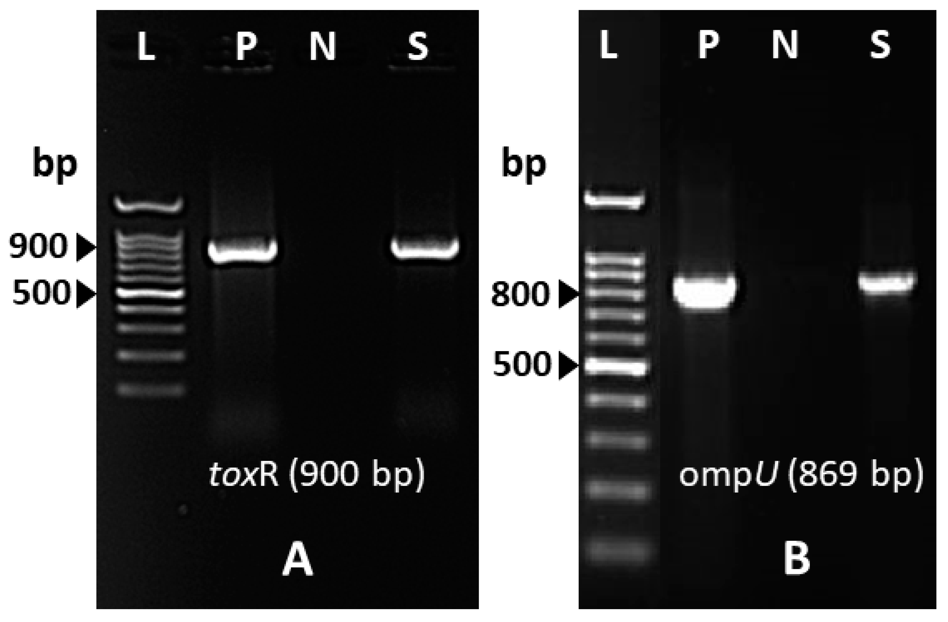 Tropicalmed 10 00110 g002