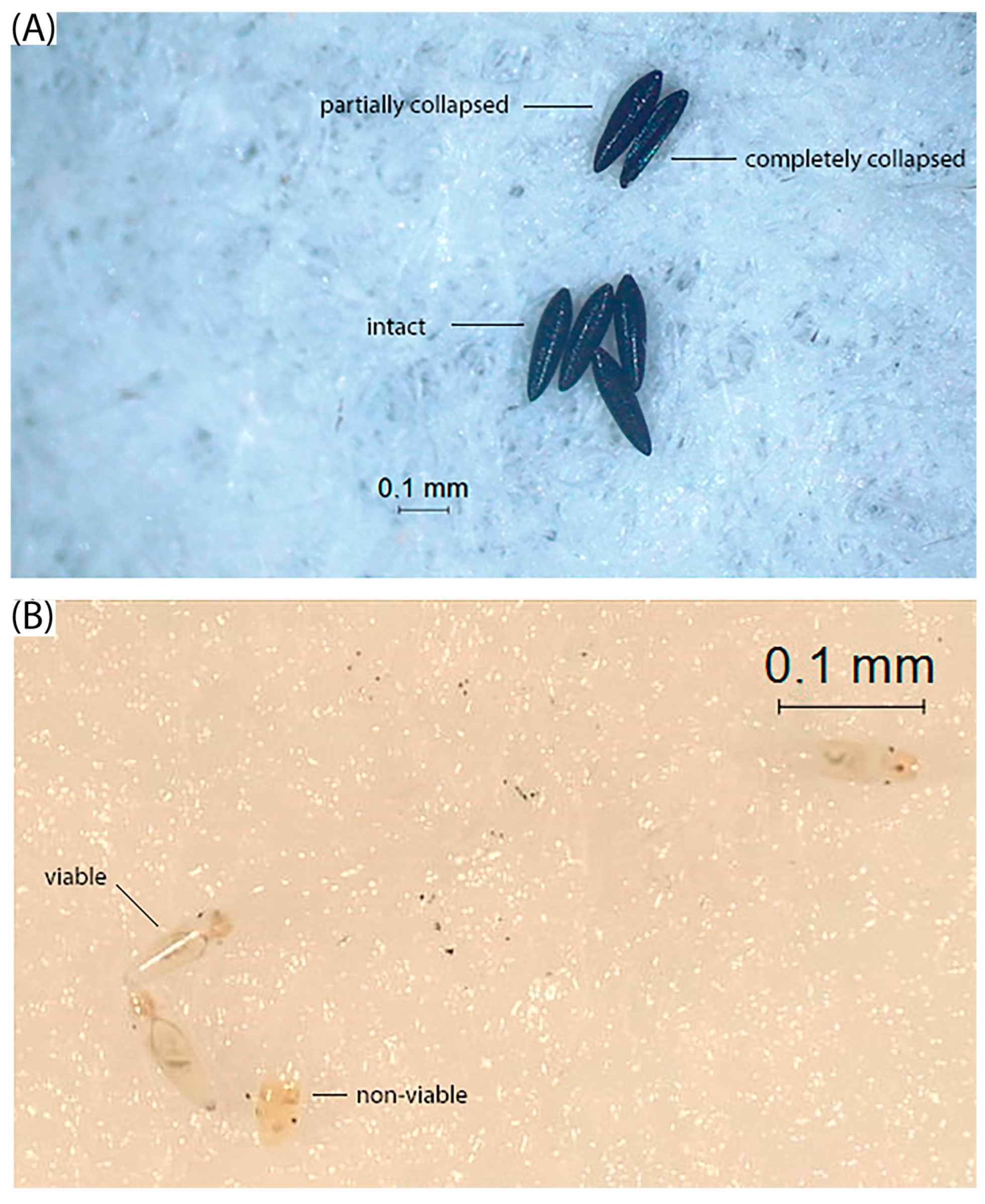 Tropicalmed 10 00116 g001