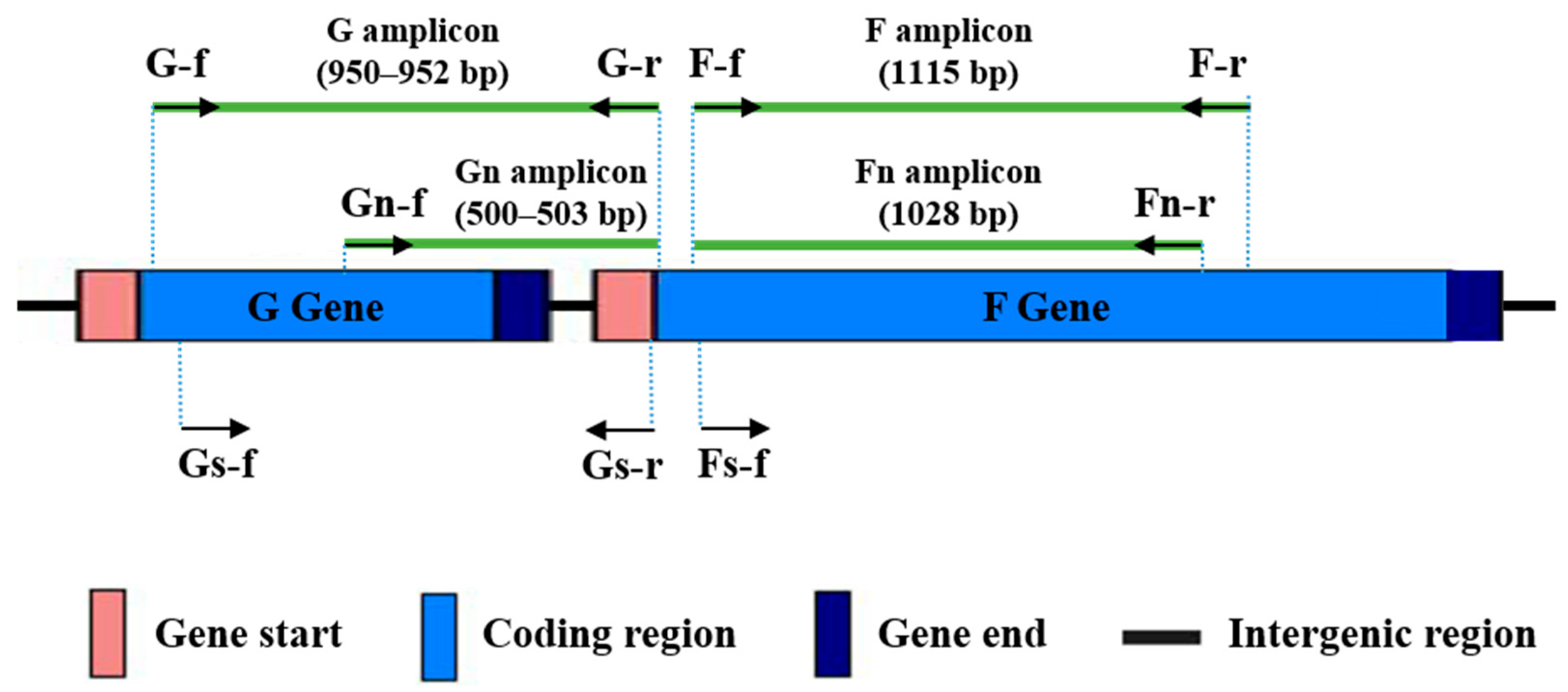 Tropicalmed 10 00160 g001