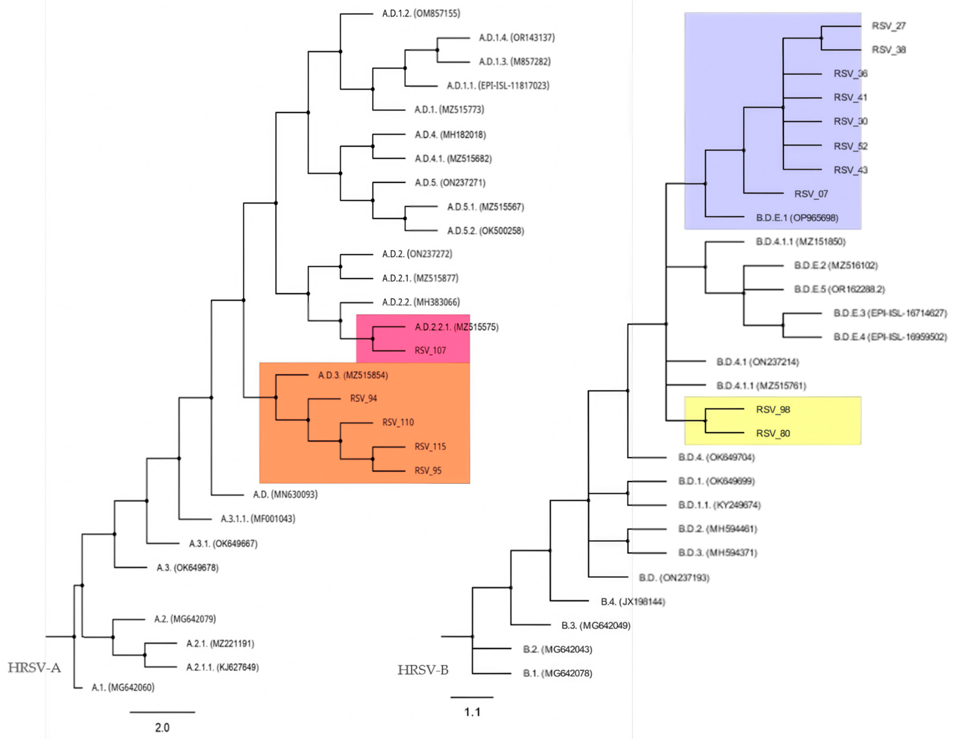 Tropicalmed 10 00160 g003