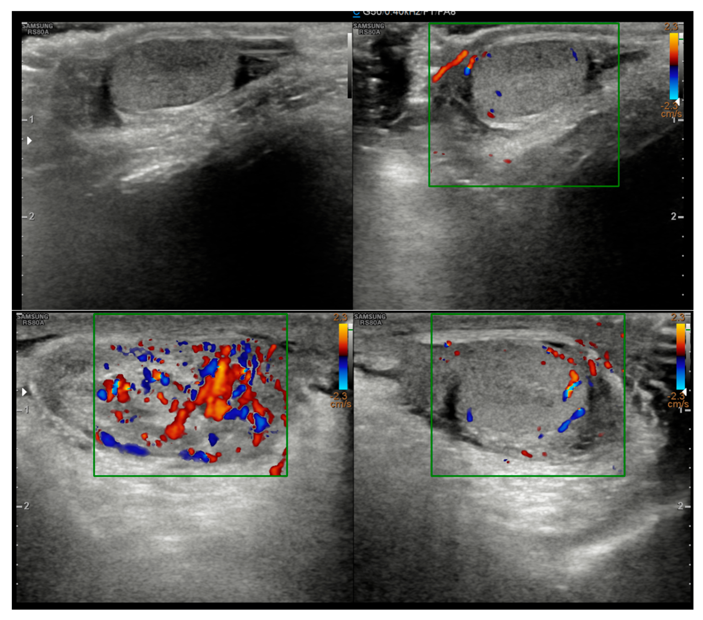 Tropicalmed 10 00184 g001