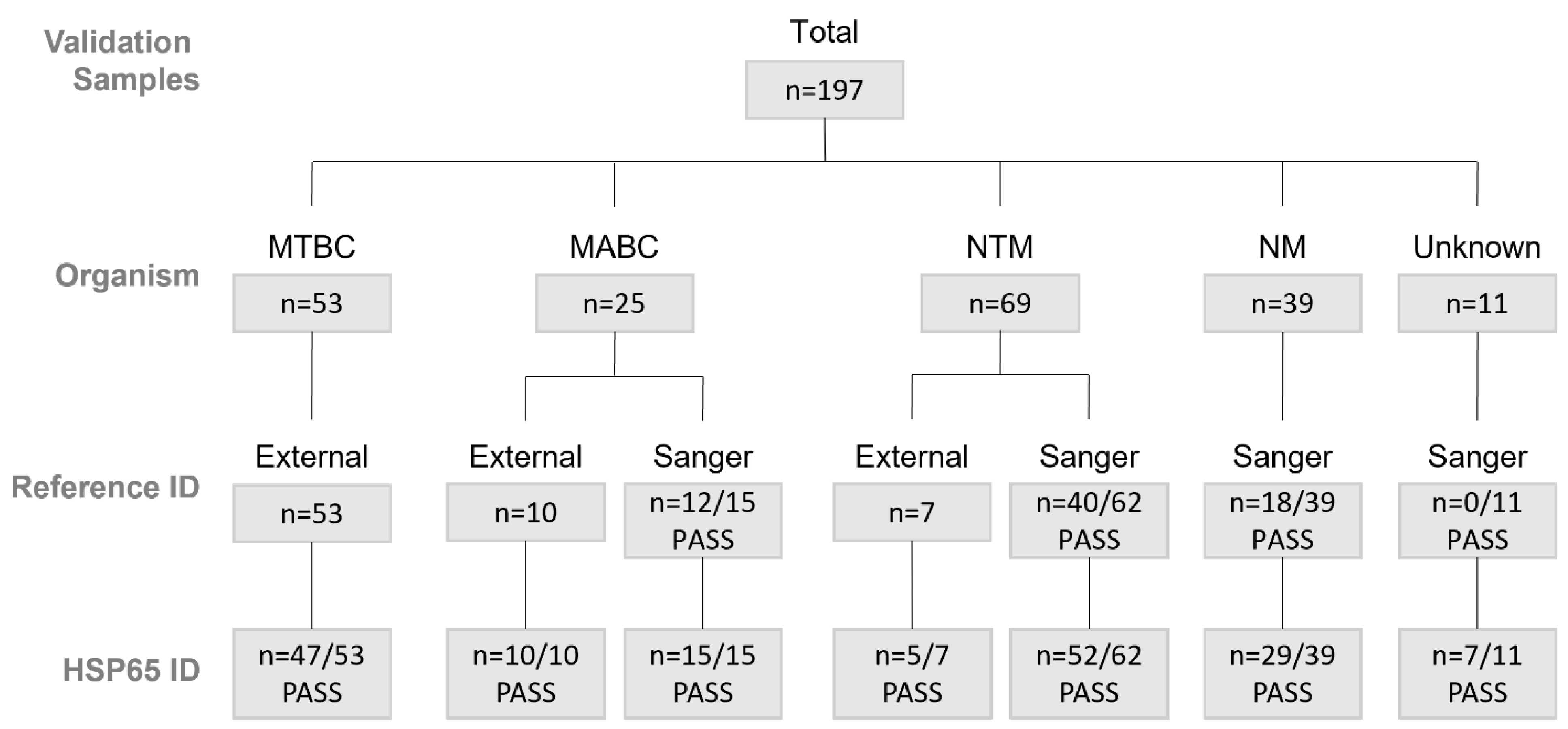 Tropicalmed 10 00192 g001