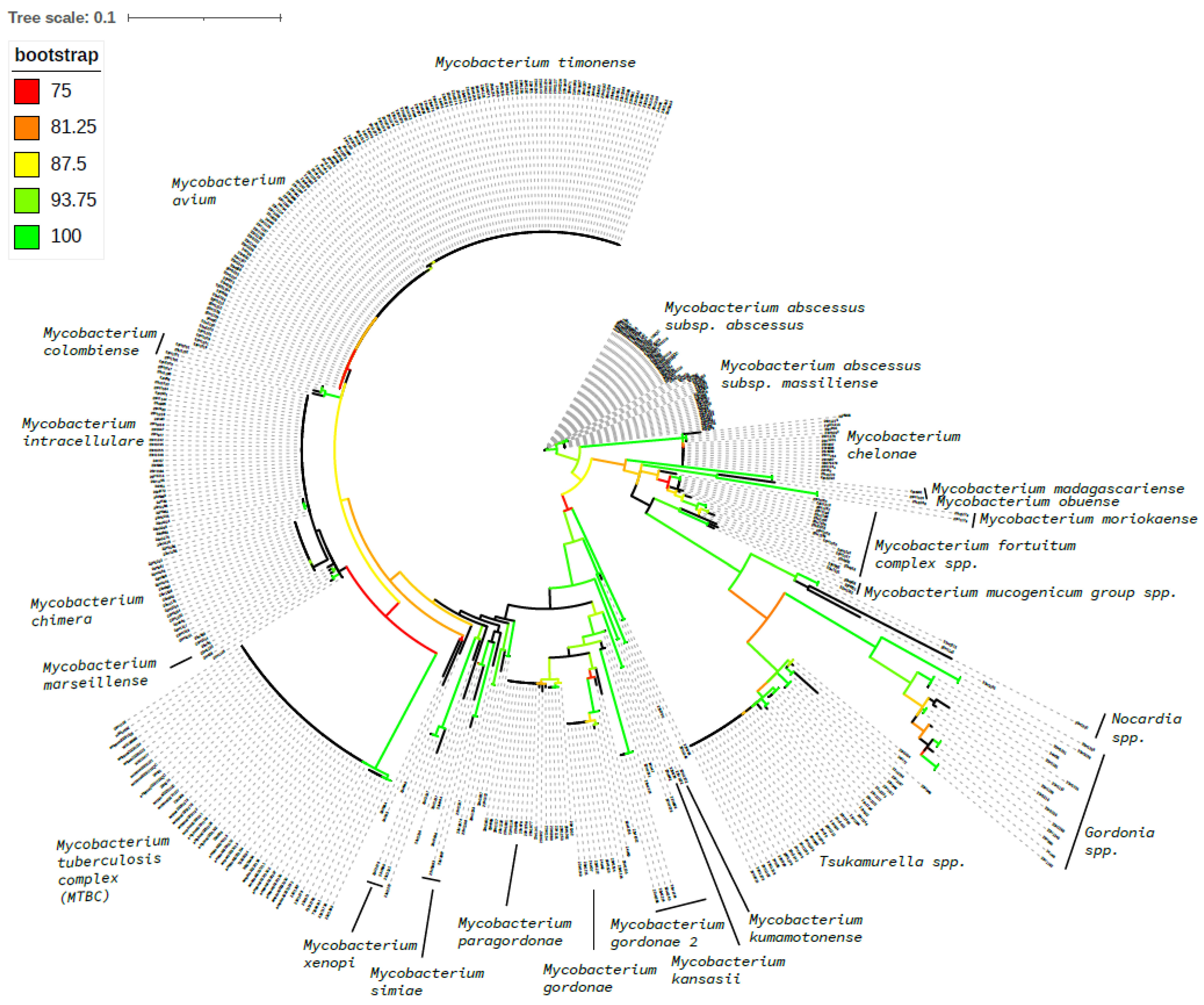 Tropicalmed 10 00192 g003