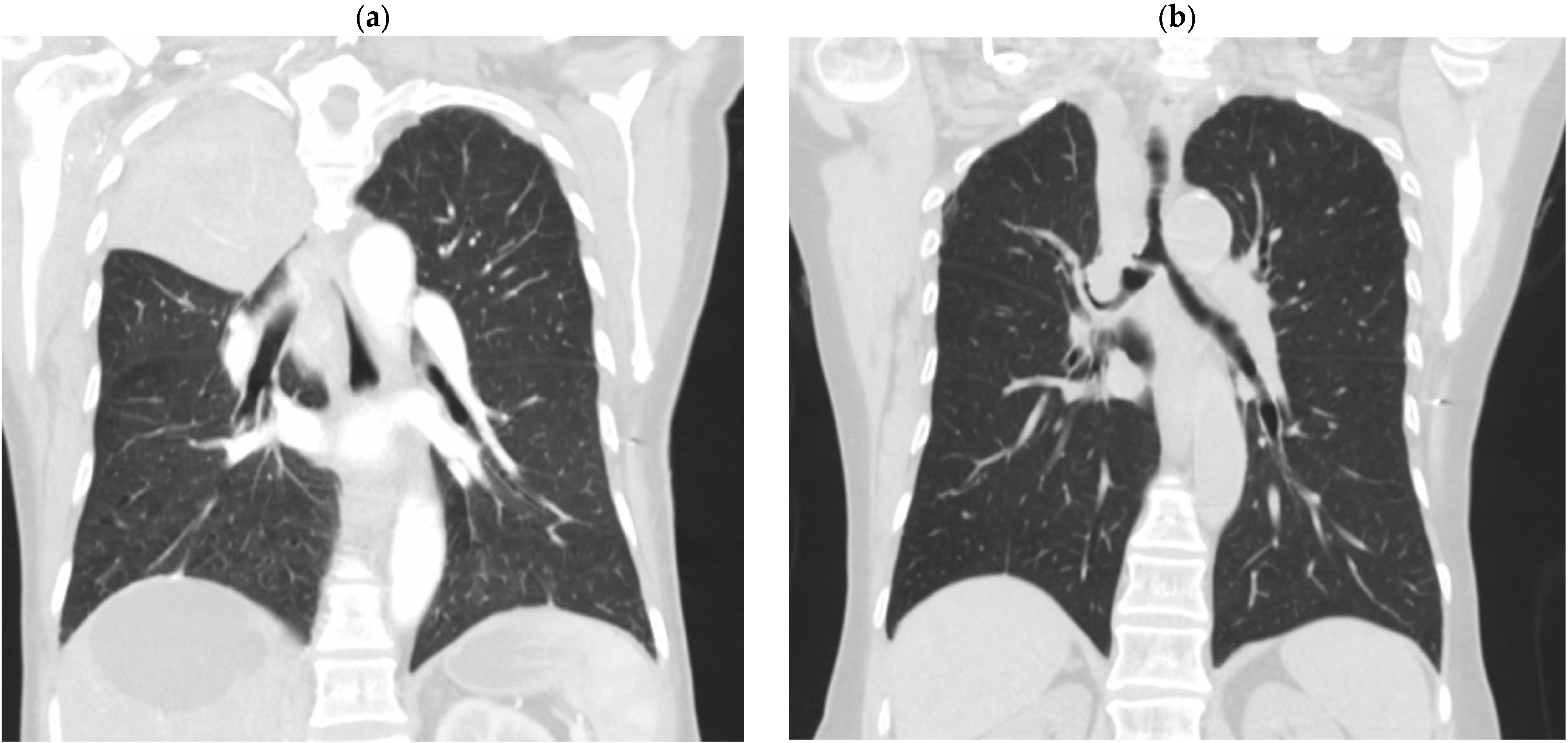 Tropicalmed 10 00202 g002