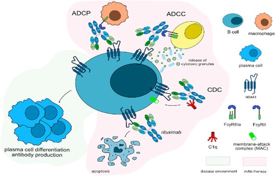 Tropicalmed 10 00202 g004