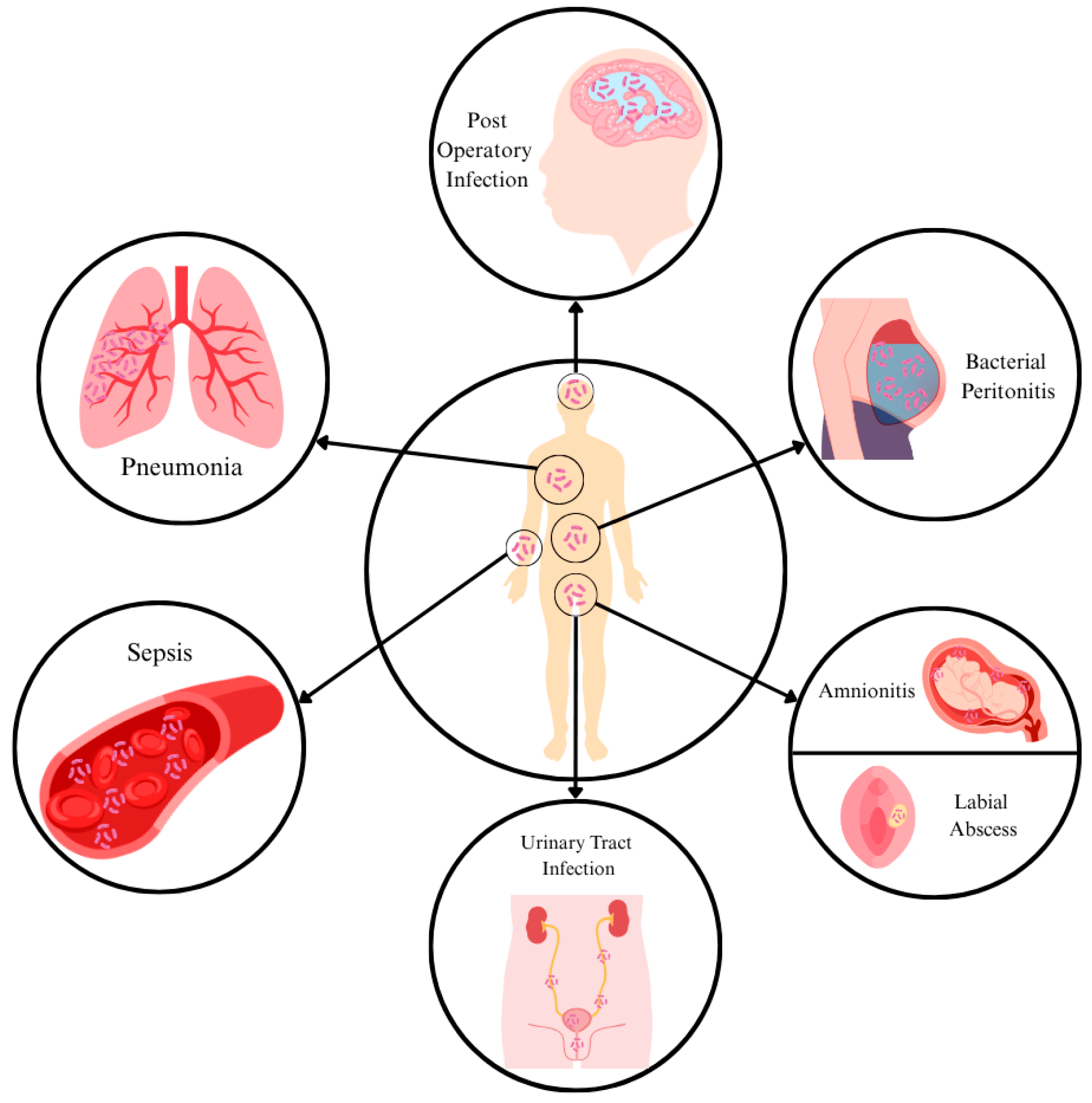 Tropicalmed 10 00210 g001 Tropicalmed 10 00210 g001