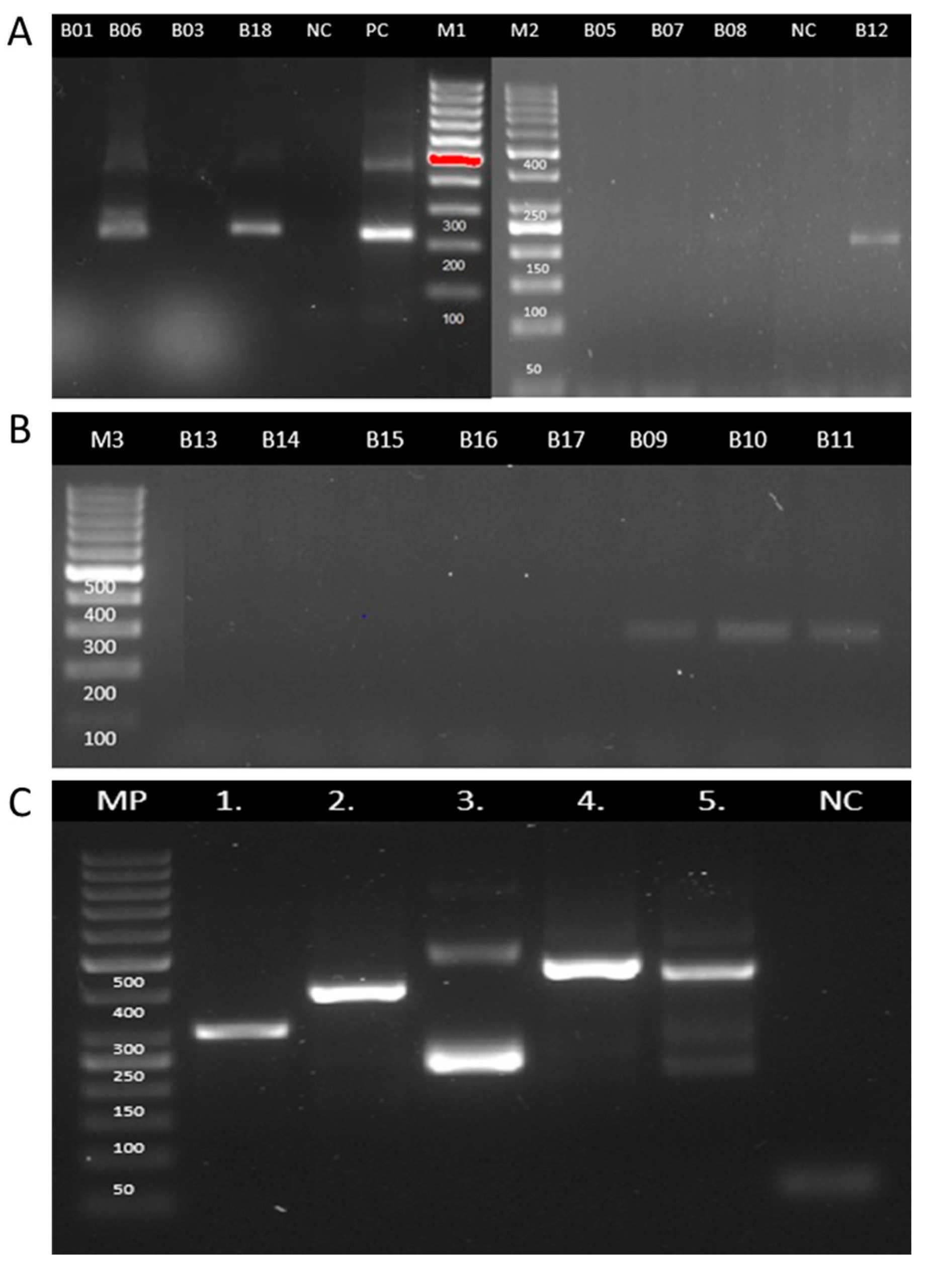 Tropicalmed 10 00232 g004