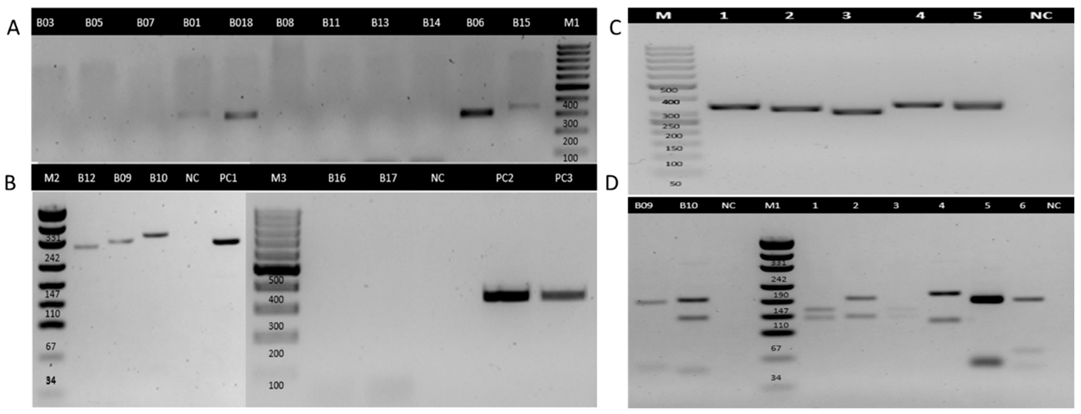 Tropicalmed 10 00232 g005