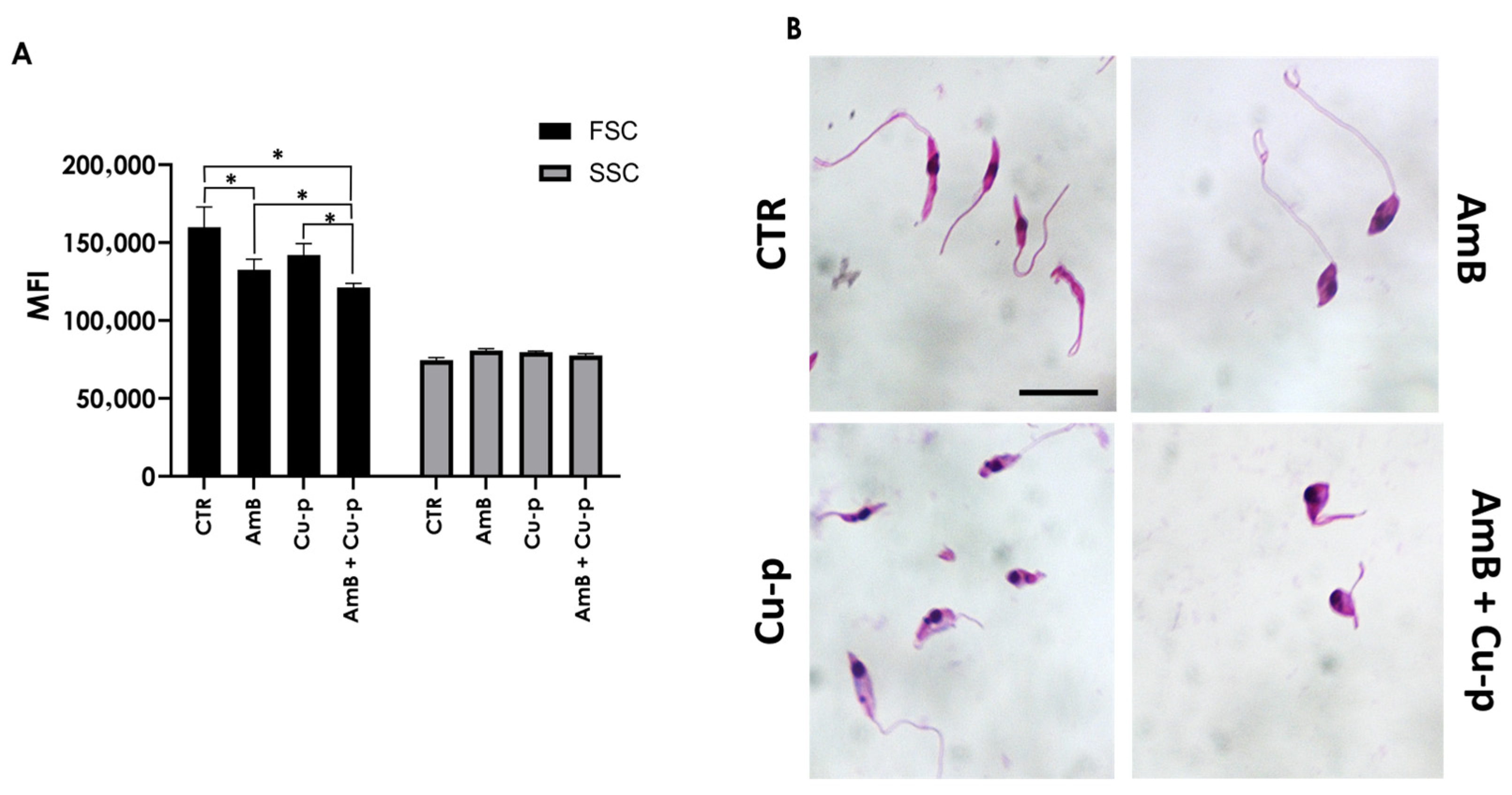 Tropicalmed 11 00004 g002 Tropicalmed 11 00004 g002