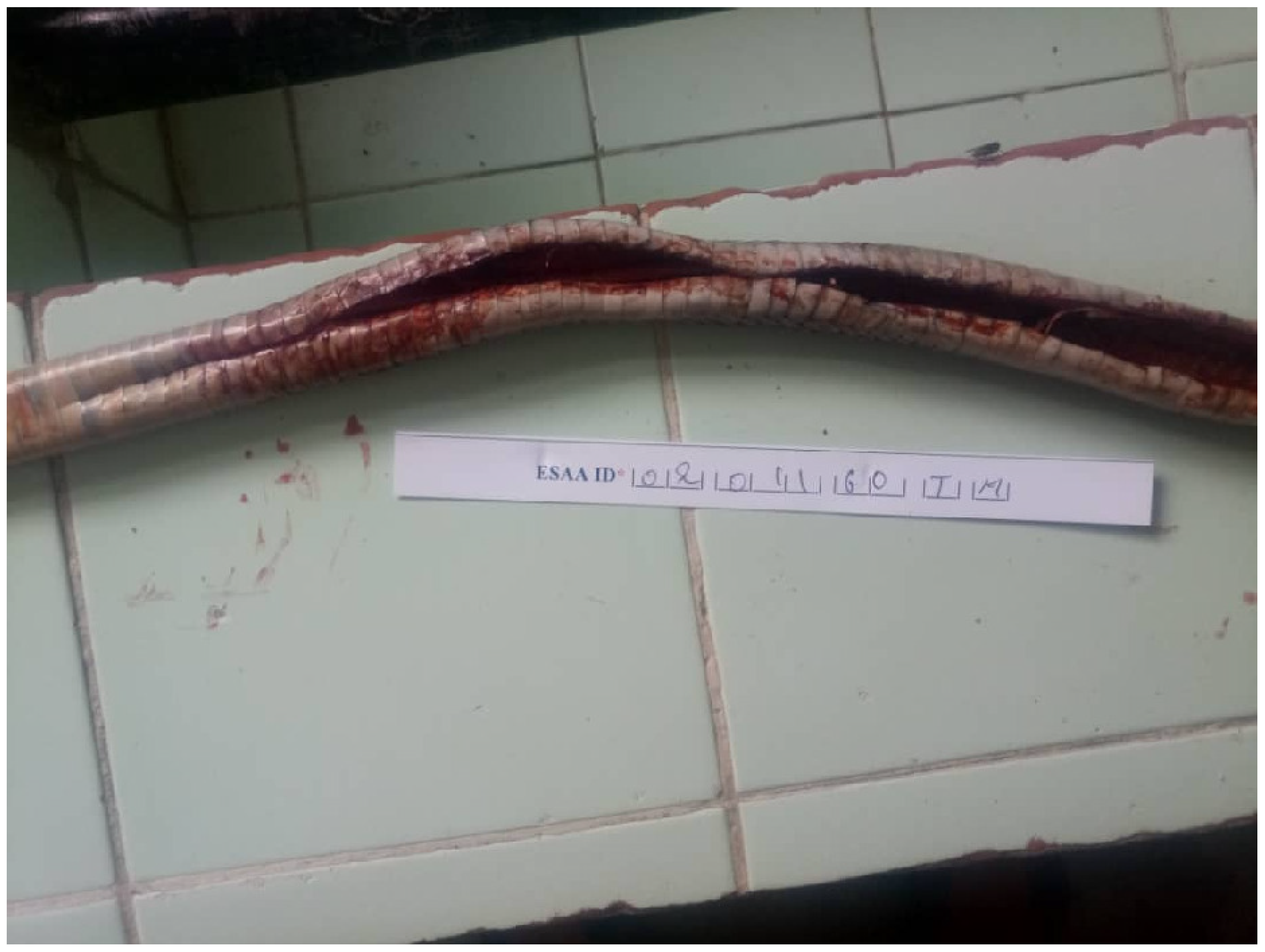 Tropicalmed 11 00032 g001