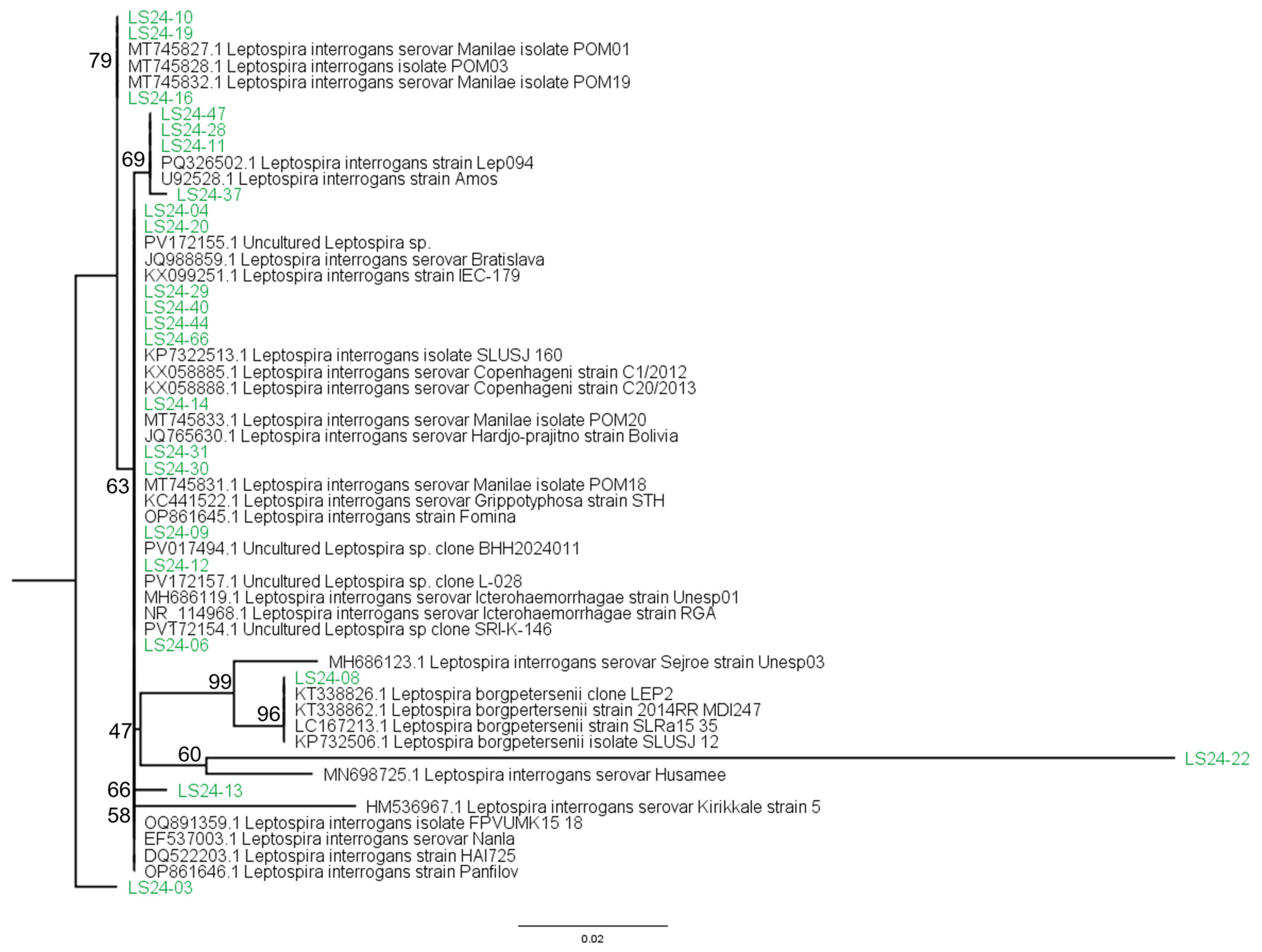 Tropicalmed 11 00069 g004 Tropicalmed 11 00069 g004