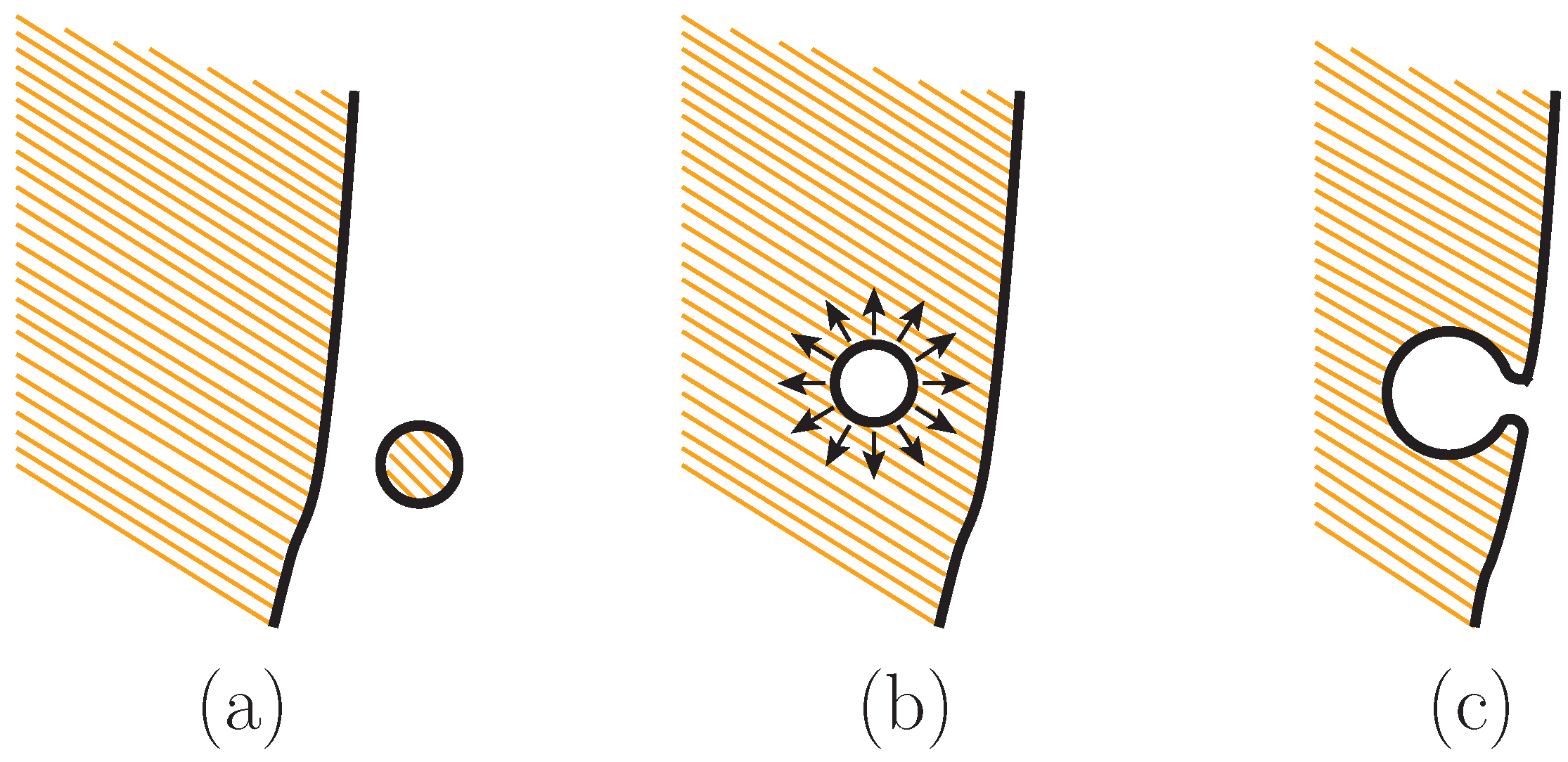 Universe 03 00068 g006