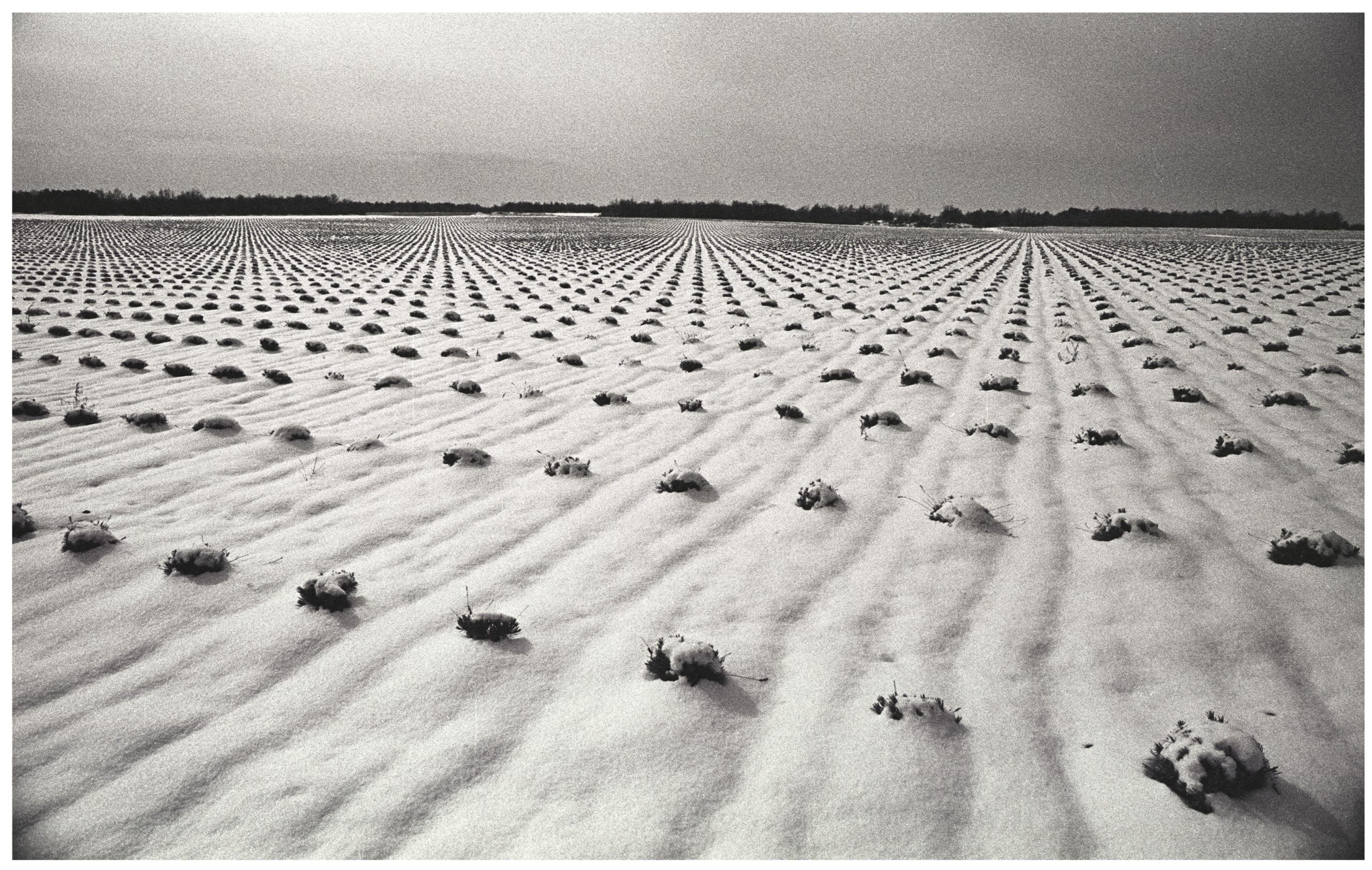 Universe 05 00013 g005