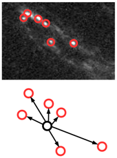 Universe 05 00177 i003 Universe 05 00177 i003