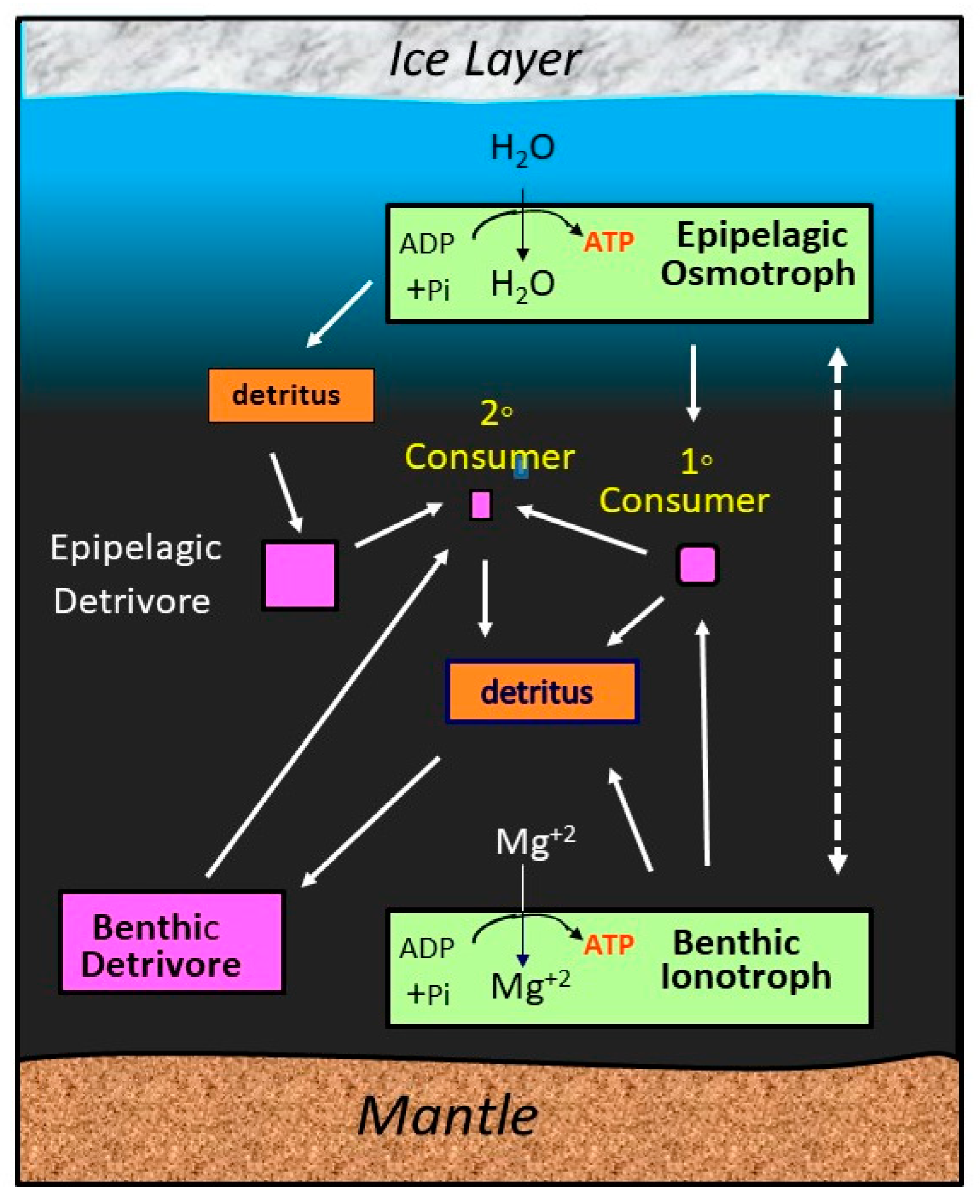 Universe 06 00130 g002