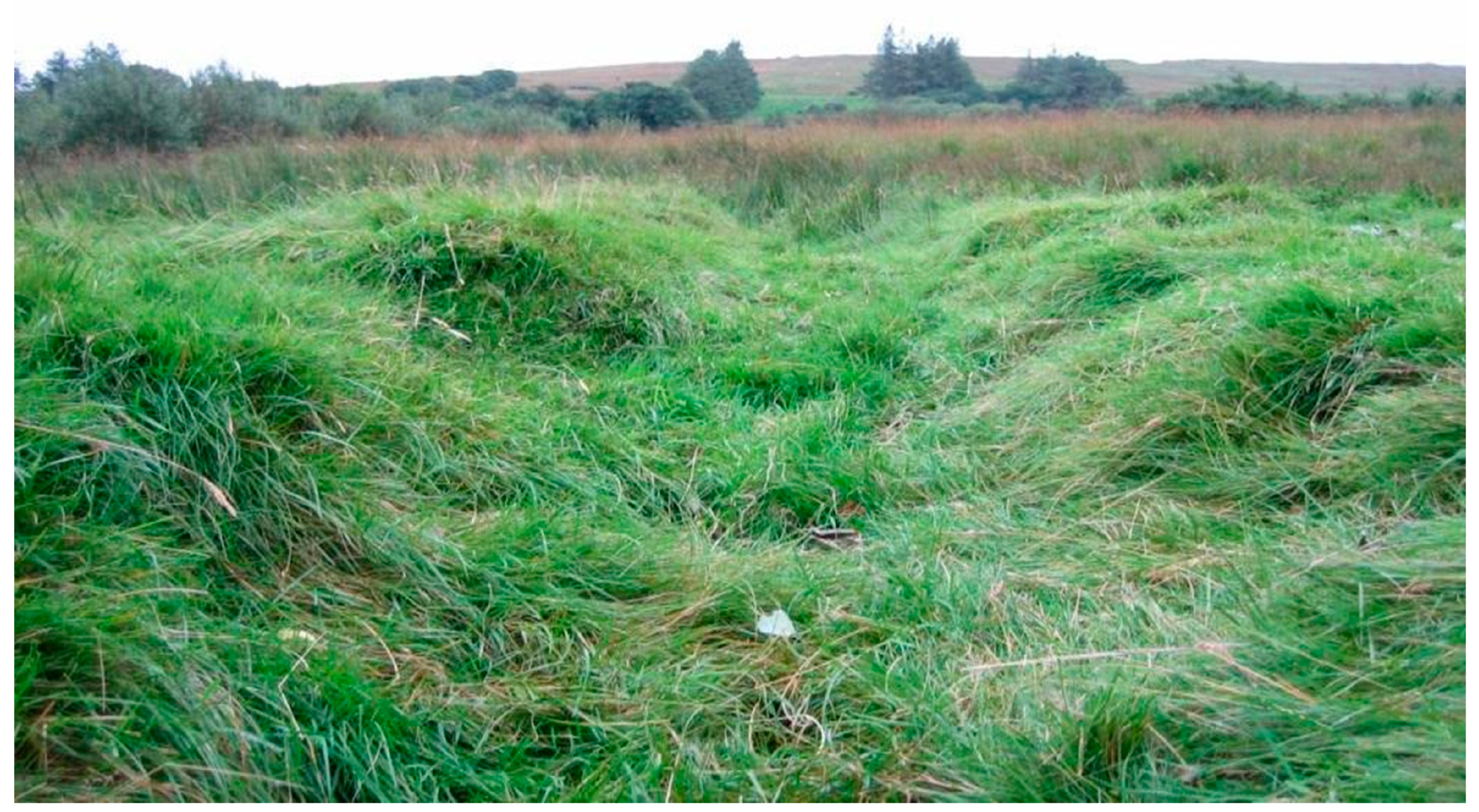 Universe 07 00035 g0a5