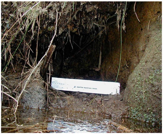 Universe 07 00035 g0a7