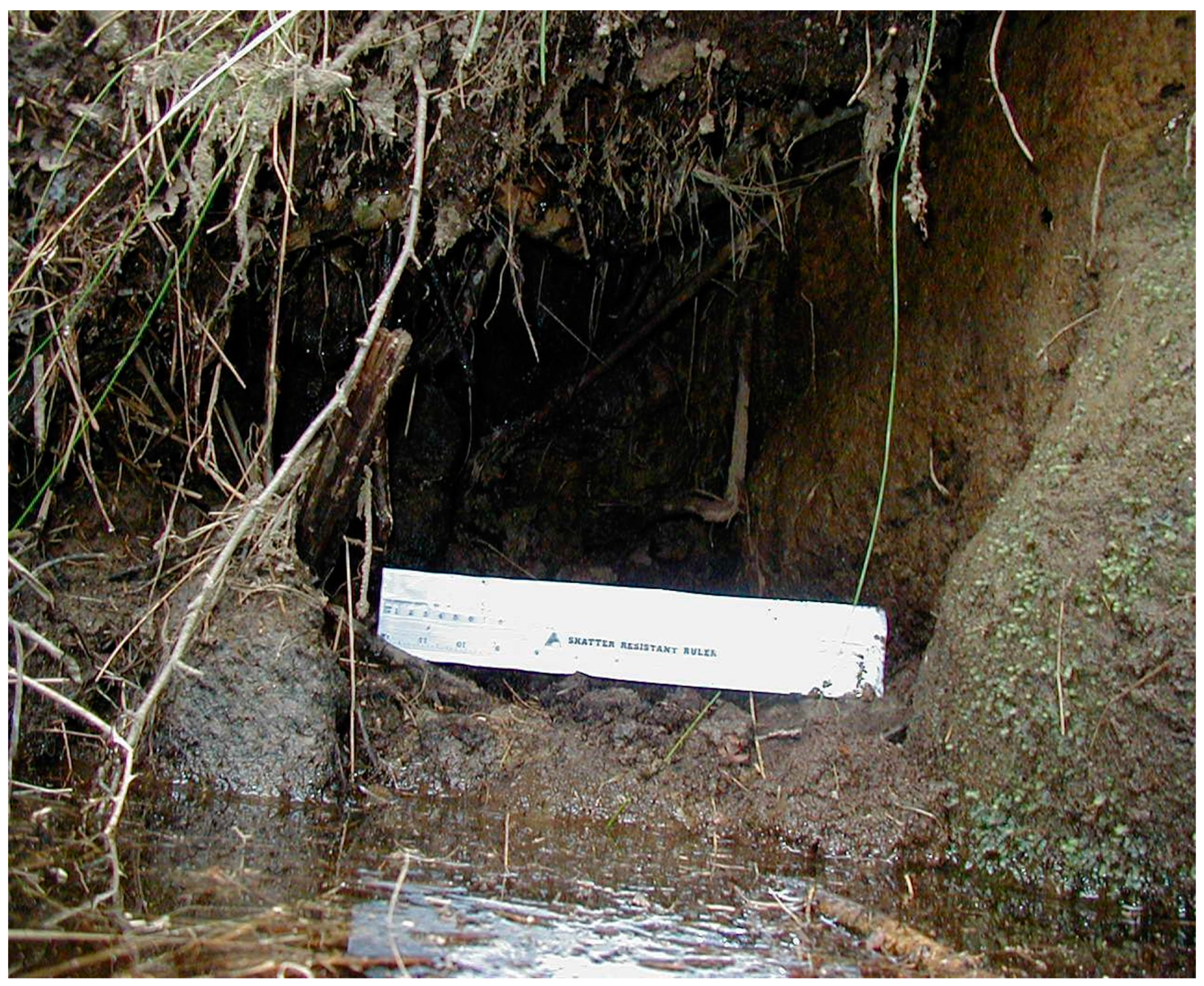 Universe 07 00035 g0a7