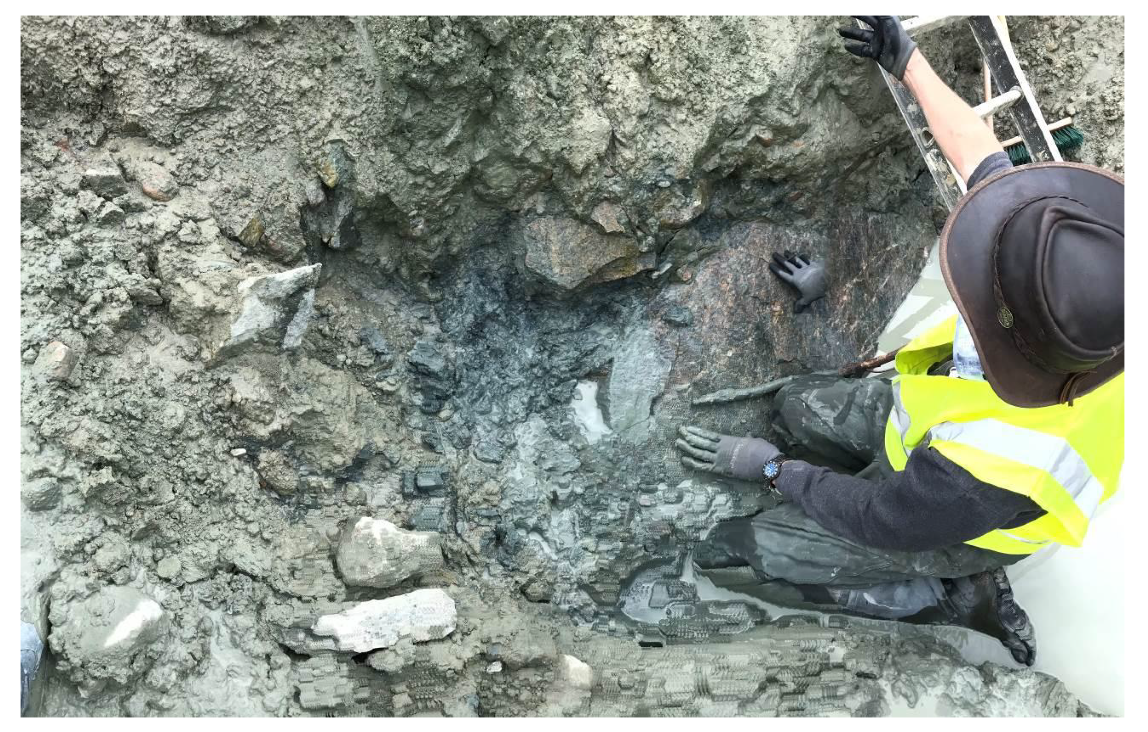 Universe 07 00116 g0a3 Universe 07 00116 g0a3