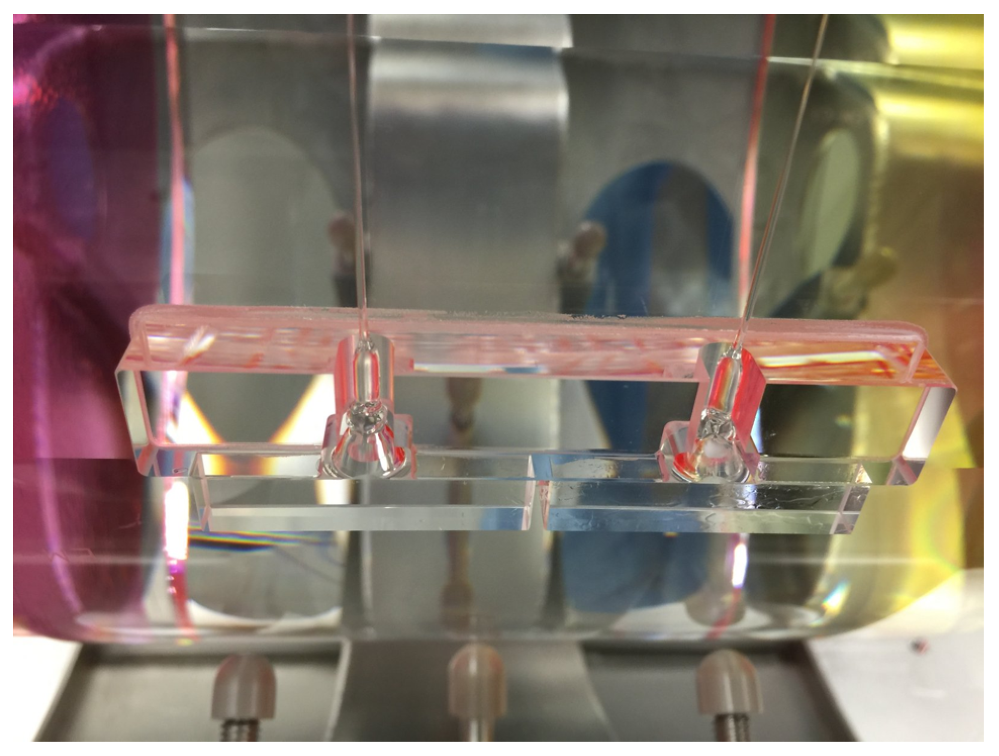 Universe 07 00322 g006