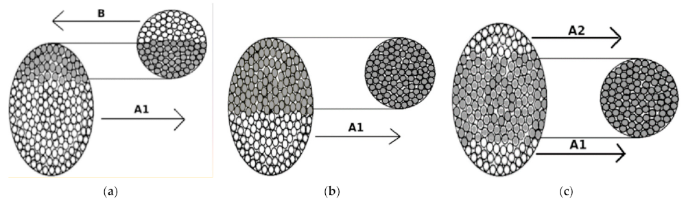 Universe 08 00067 g001