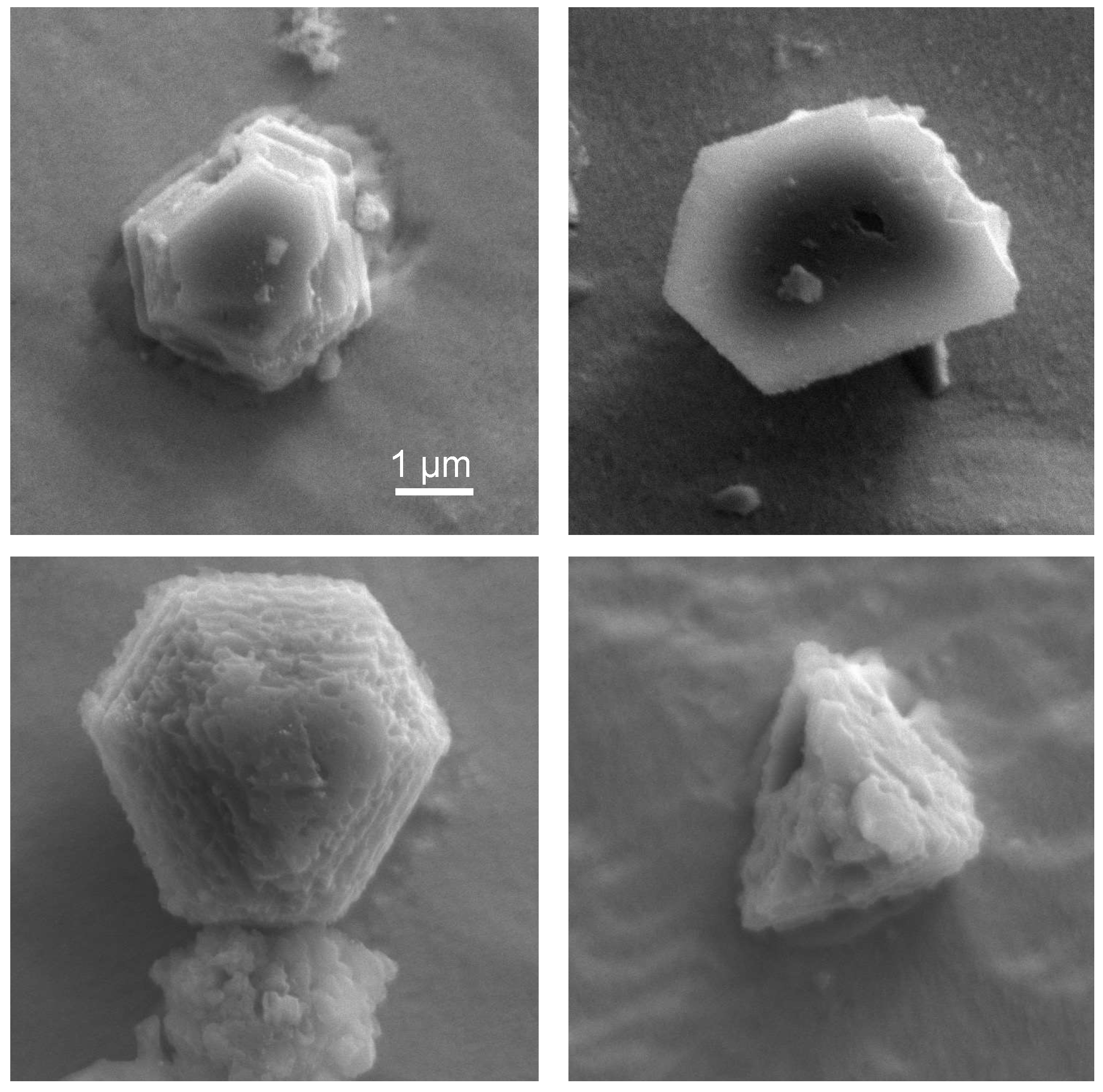 Universe 08 00362 g001