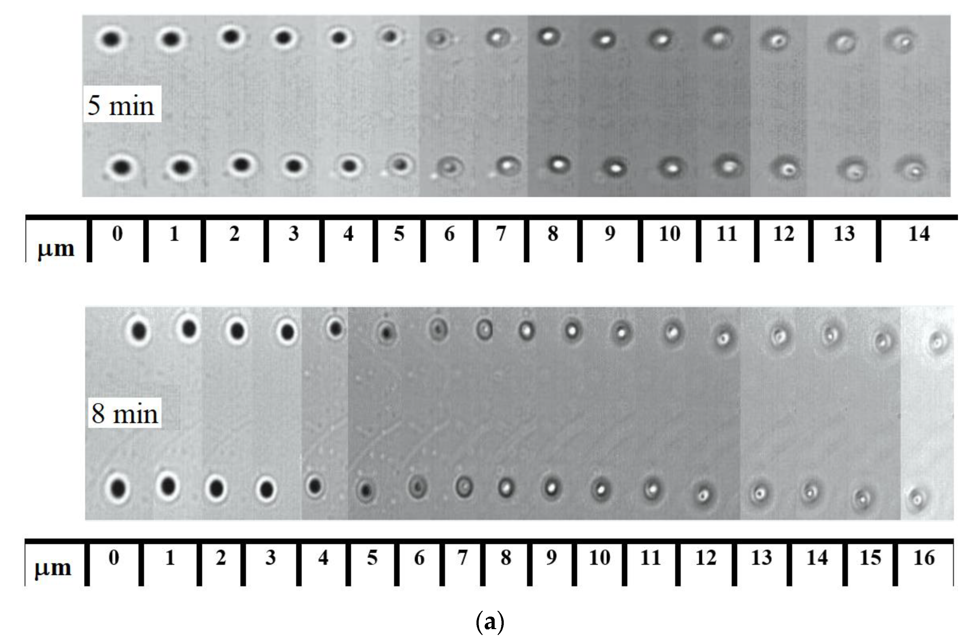 Universe 08 00474 g001a