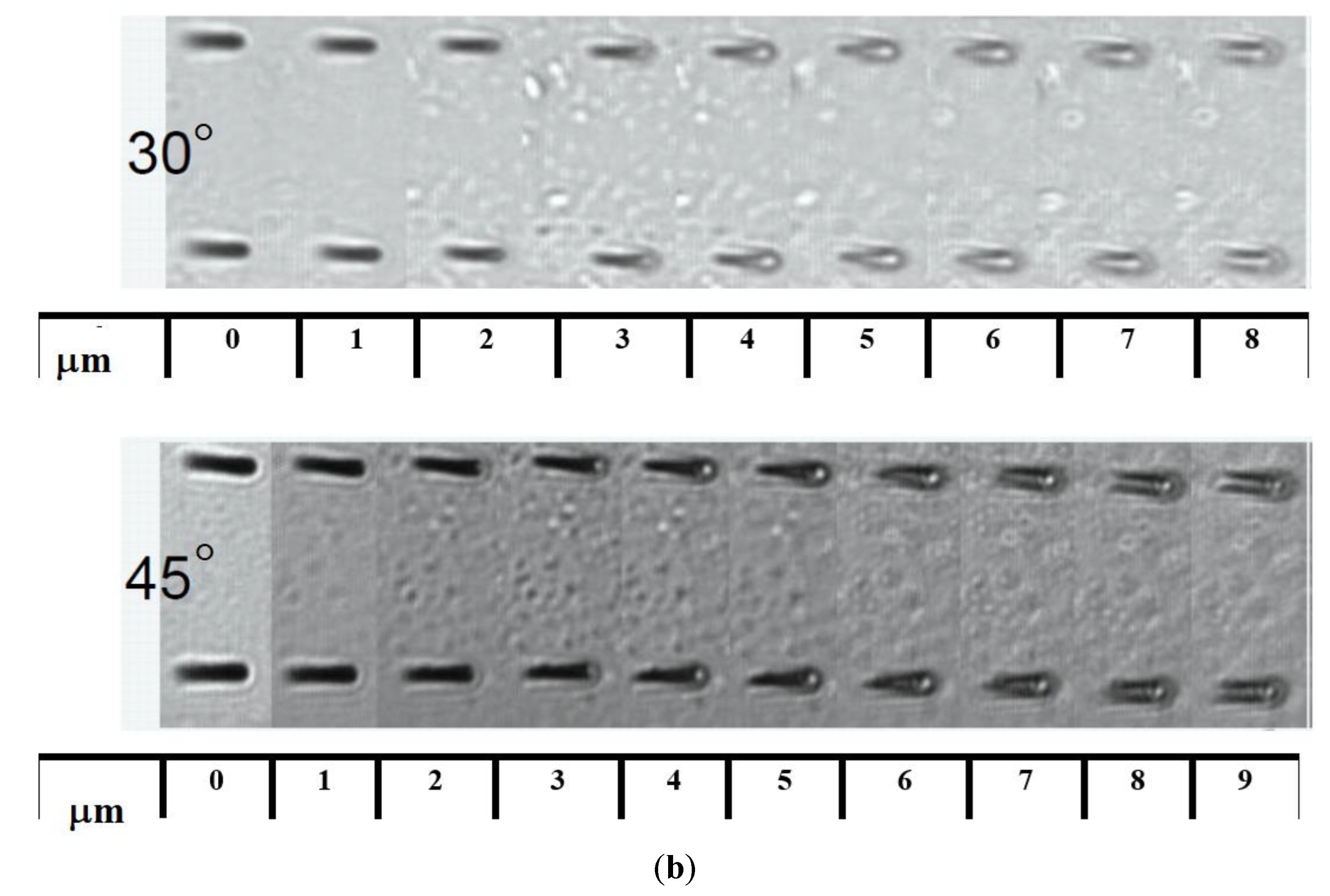 Universe 08 00474 g001b