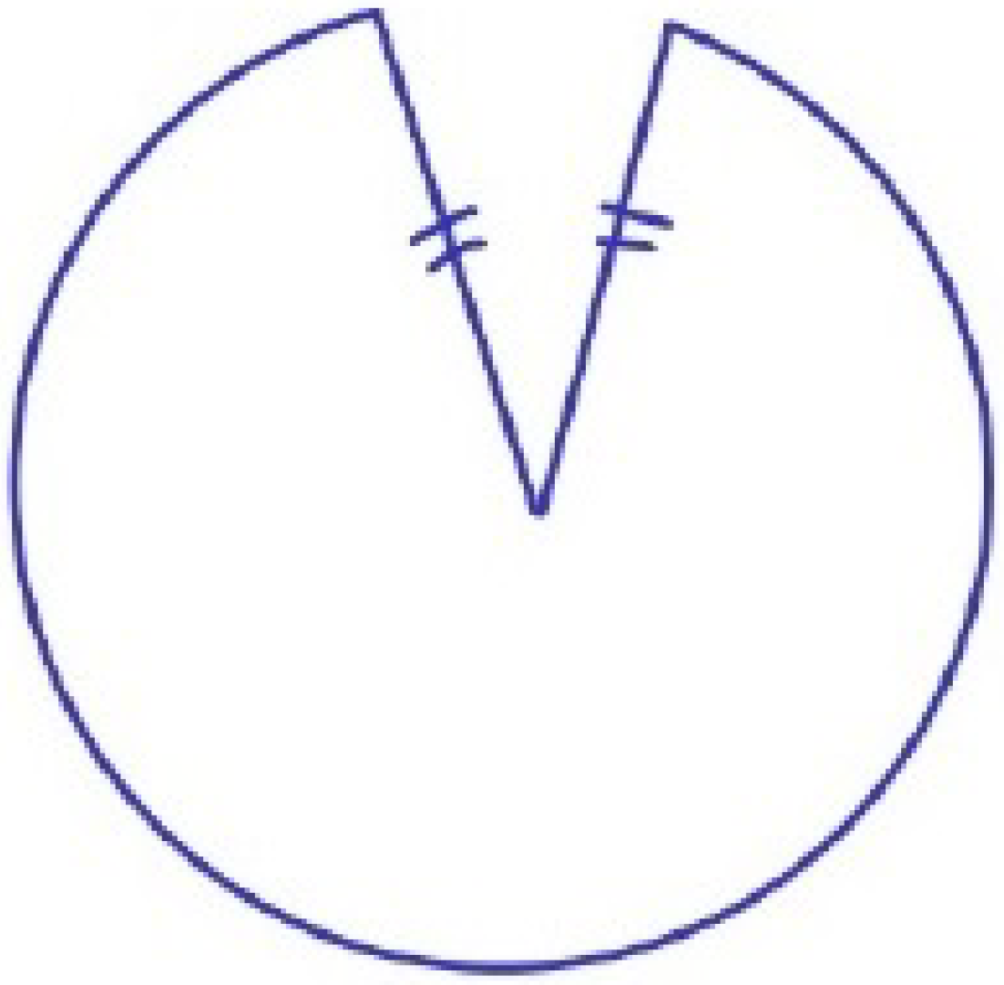 Universe 09 00031 g001